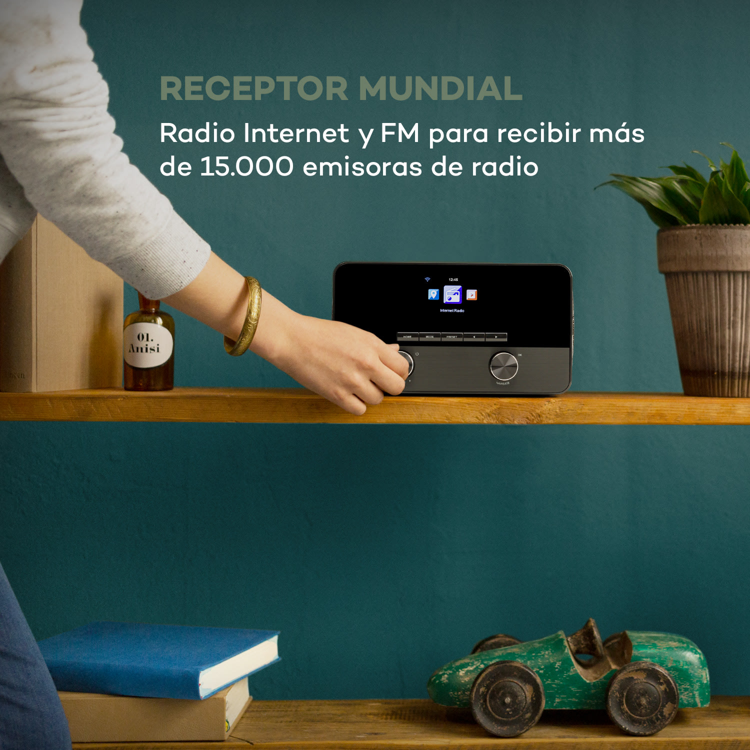 Connect 100 SE Radio por internet reproductor multimedia bluetooth WLAN USB AUX salida de línea 
