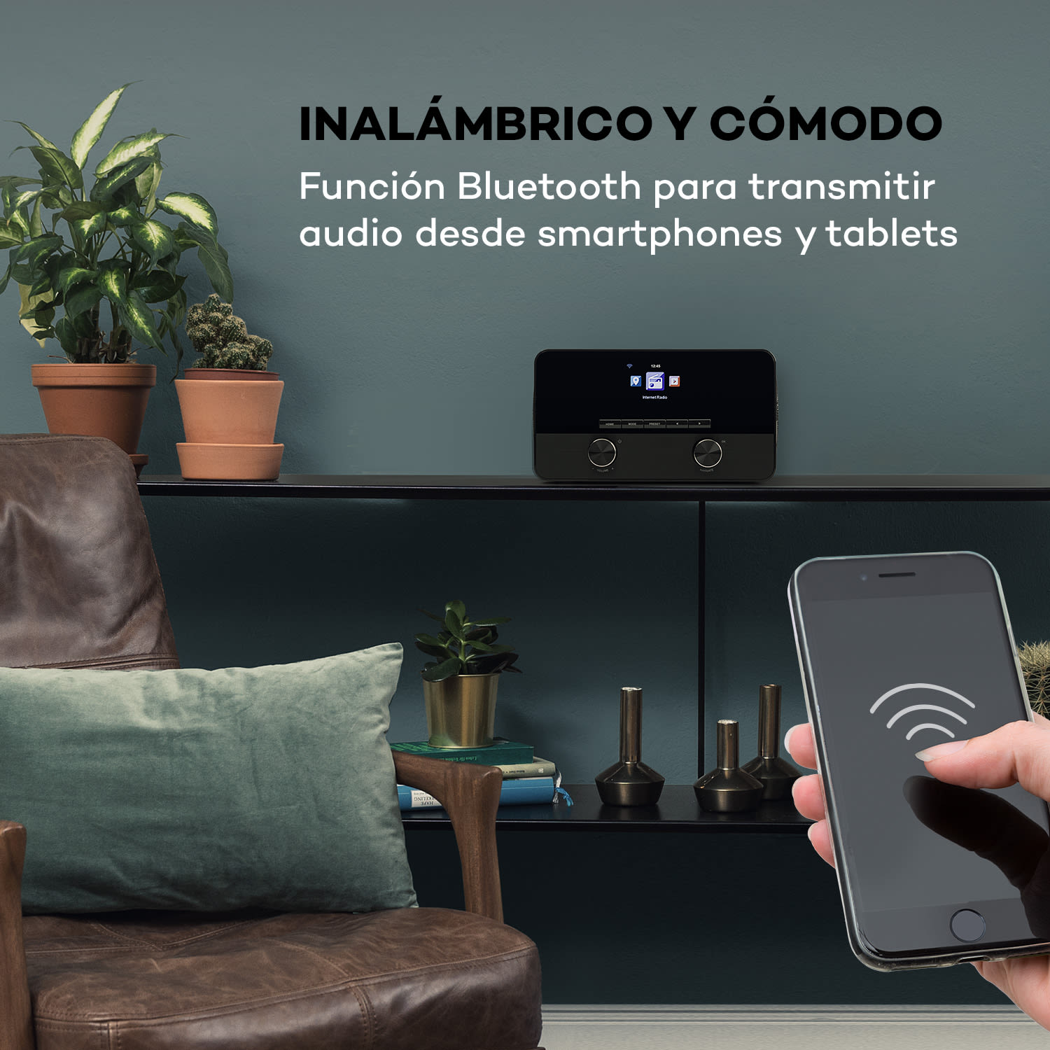 Connect 100 SE Radio por internet reproductor multimedia bluetooth WLAN USB AUX salida de línea 