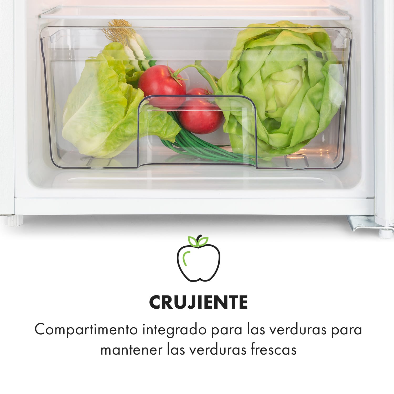 Frigorífico Spitzbergen Uni 91 litros, congelador de 10 litros, 2 estantes 91 L | Blanco