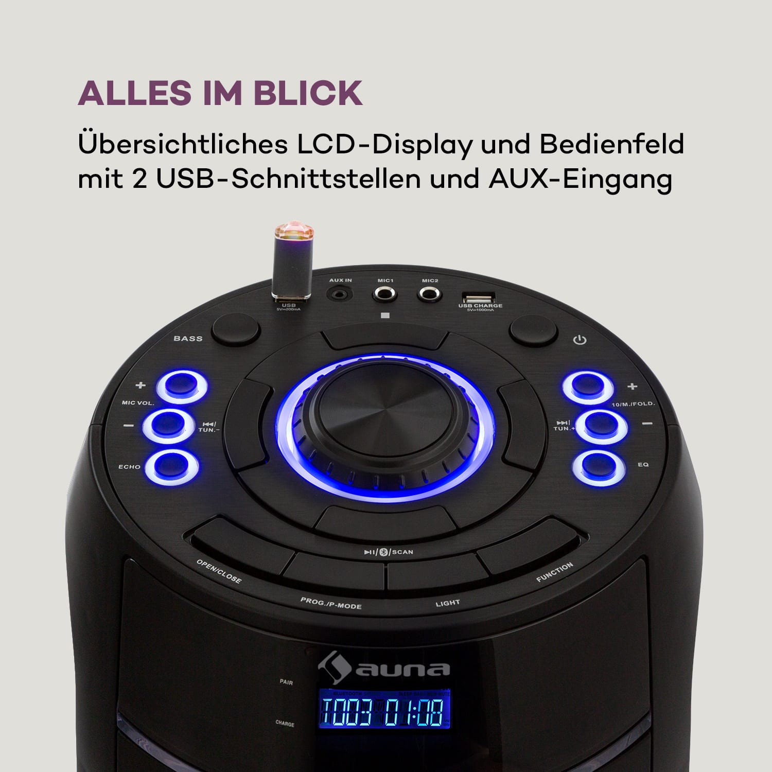 ULTRASONIC CD Partylautsprecher 100 Watt 2 x 6,5" Woofer 