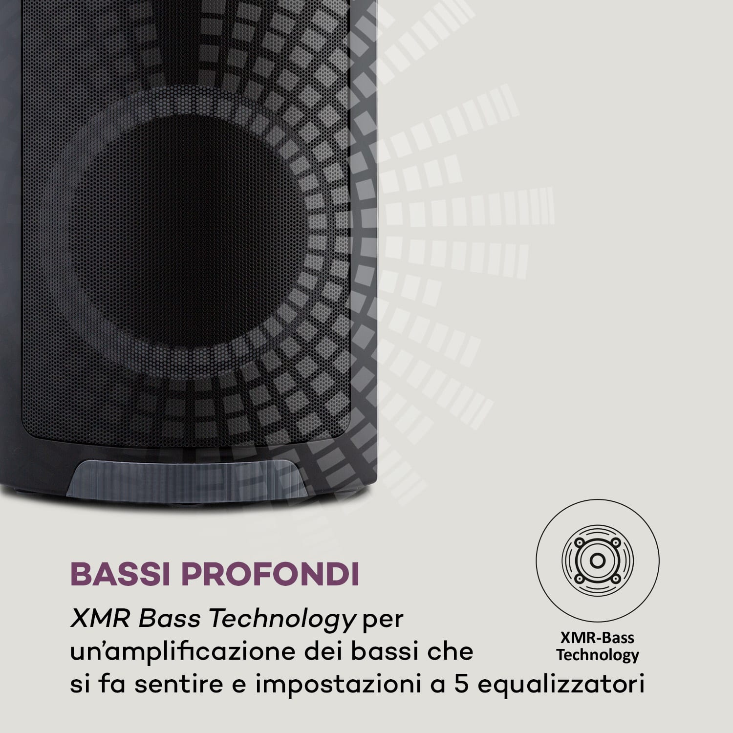 ULTRASONIC CD, Altoparlante, 2 Woofer da 6,5", 100 Watt, nero 