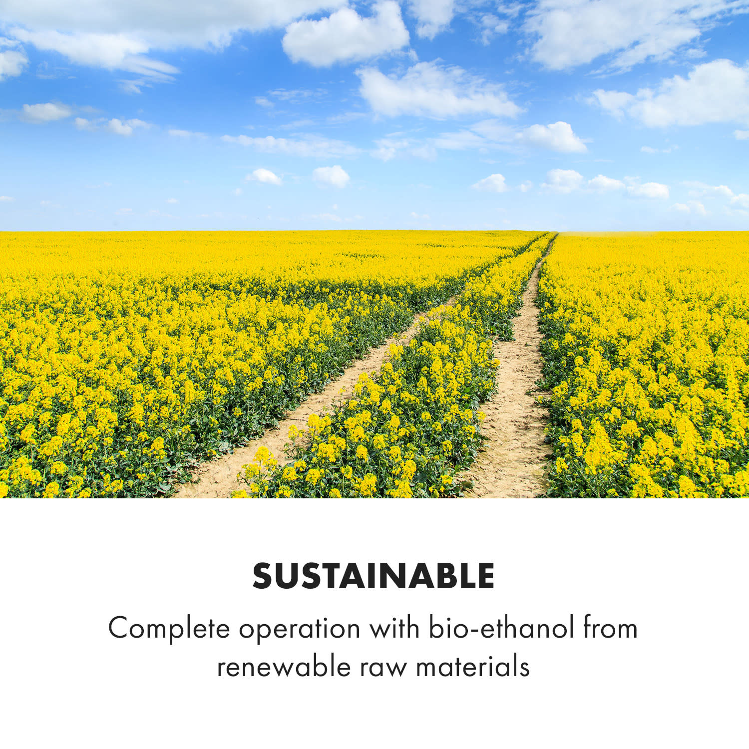 Phantasma Niro, етанолова камина, предпазна горелка, помощник за гасене, време на горене 3,5 часа 