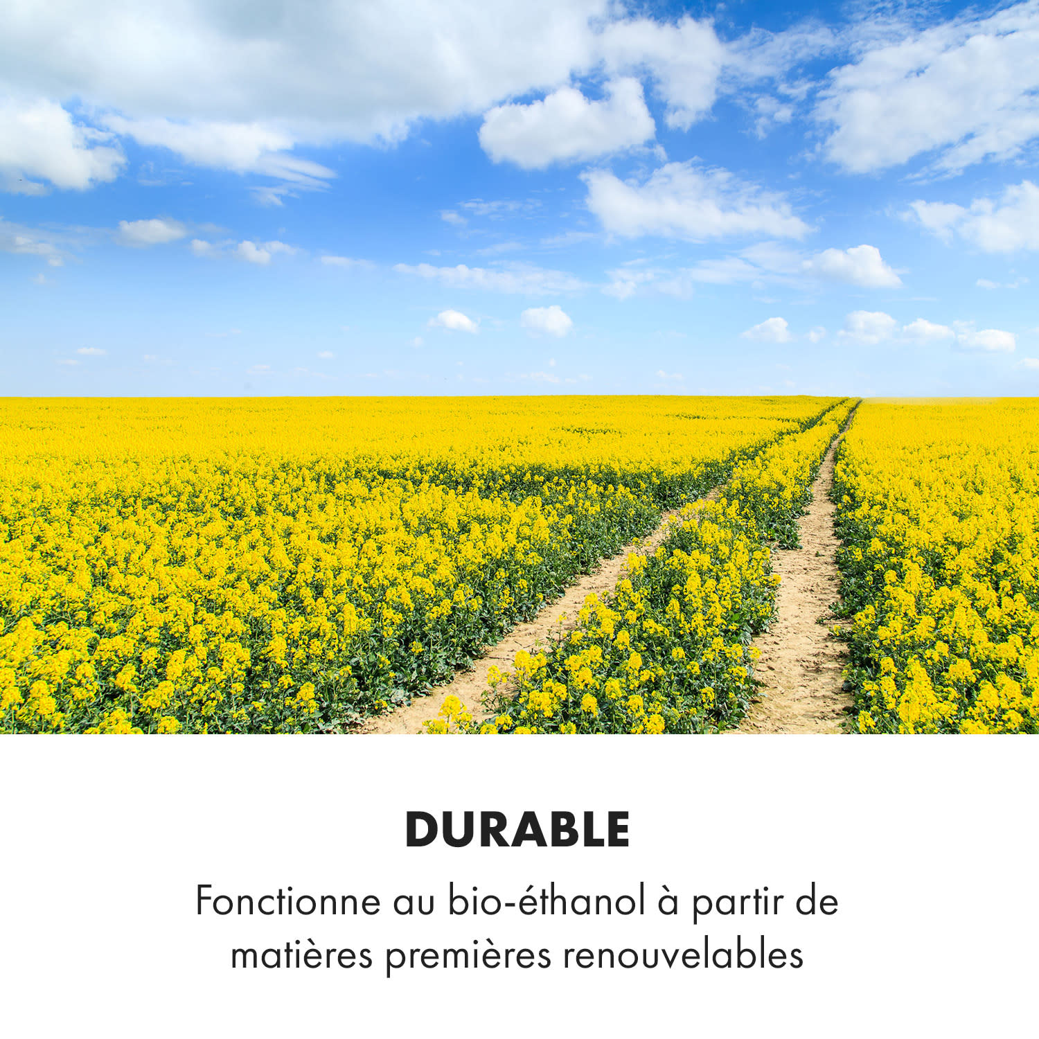 Phantasma Manor cheminée à l'éthanol 3,4 kW style rustique MDF 