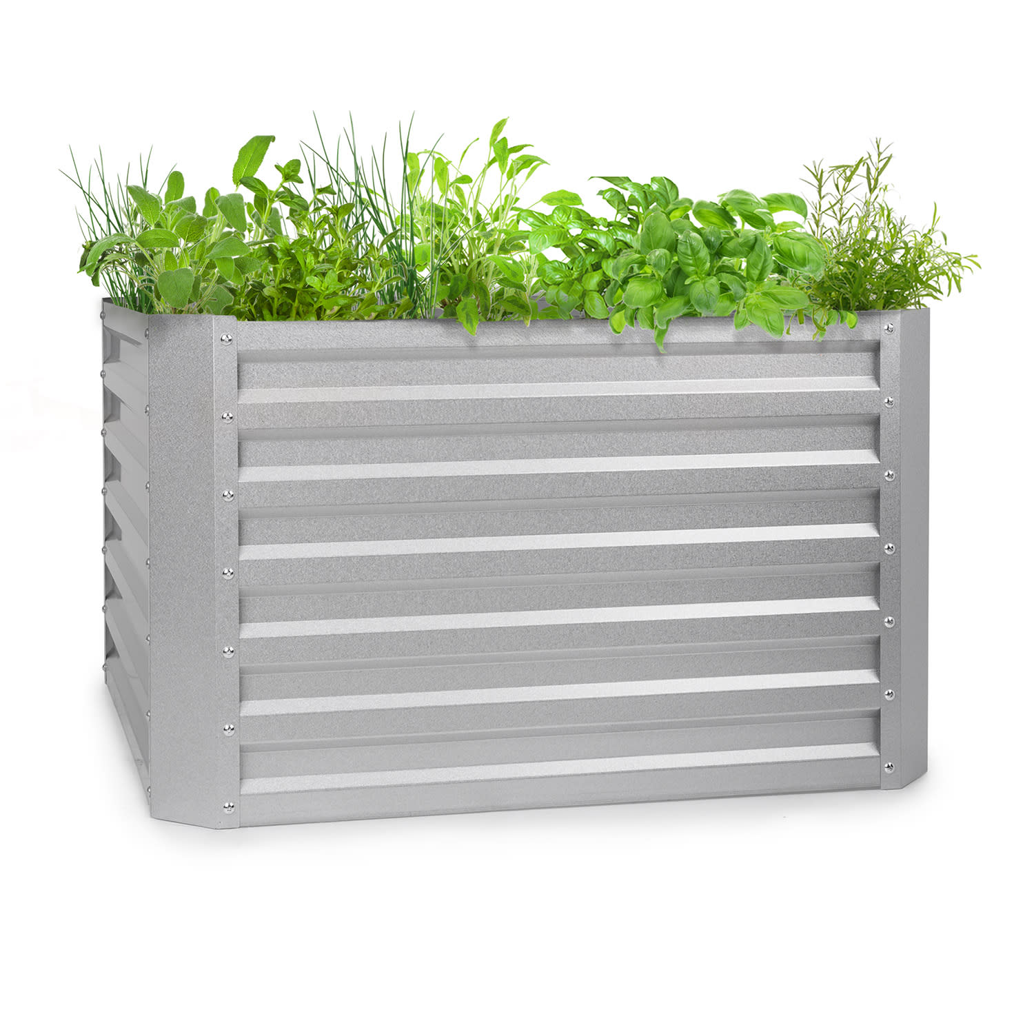 Blum High Grow Straight, повдигната градинска леха, 100х60х100 см, 600л., стомана 100 x 60 x 100 cm | Сребърен металик