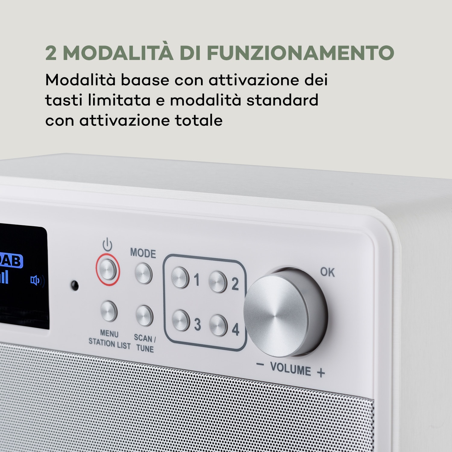Nestor DAB+, radio DAB+/FM, 2 modalità, display a colori TFT da 2,4", bianco Legno bianco