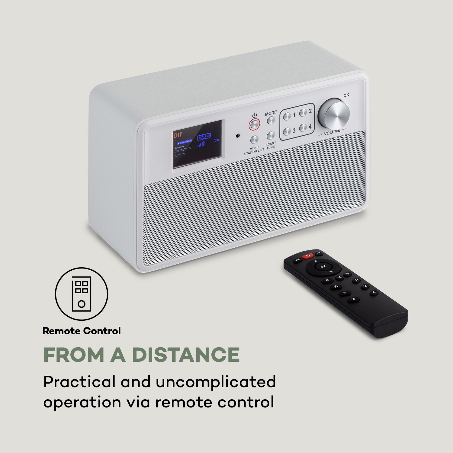 Nestor, radio DAB+/FM, 2 tryby pracy, kolorowy wyświetlacz TFT 2,4", białe Białe Drewno