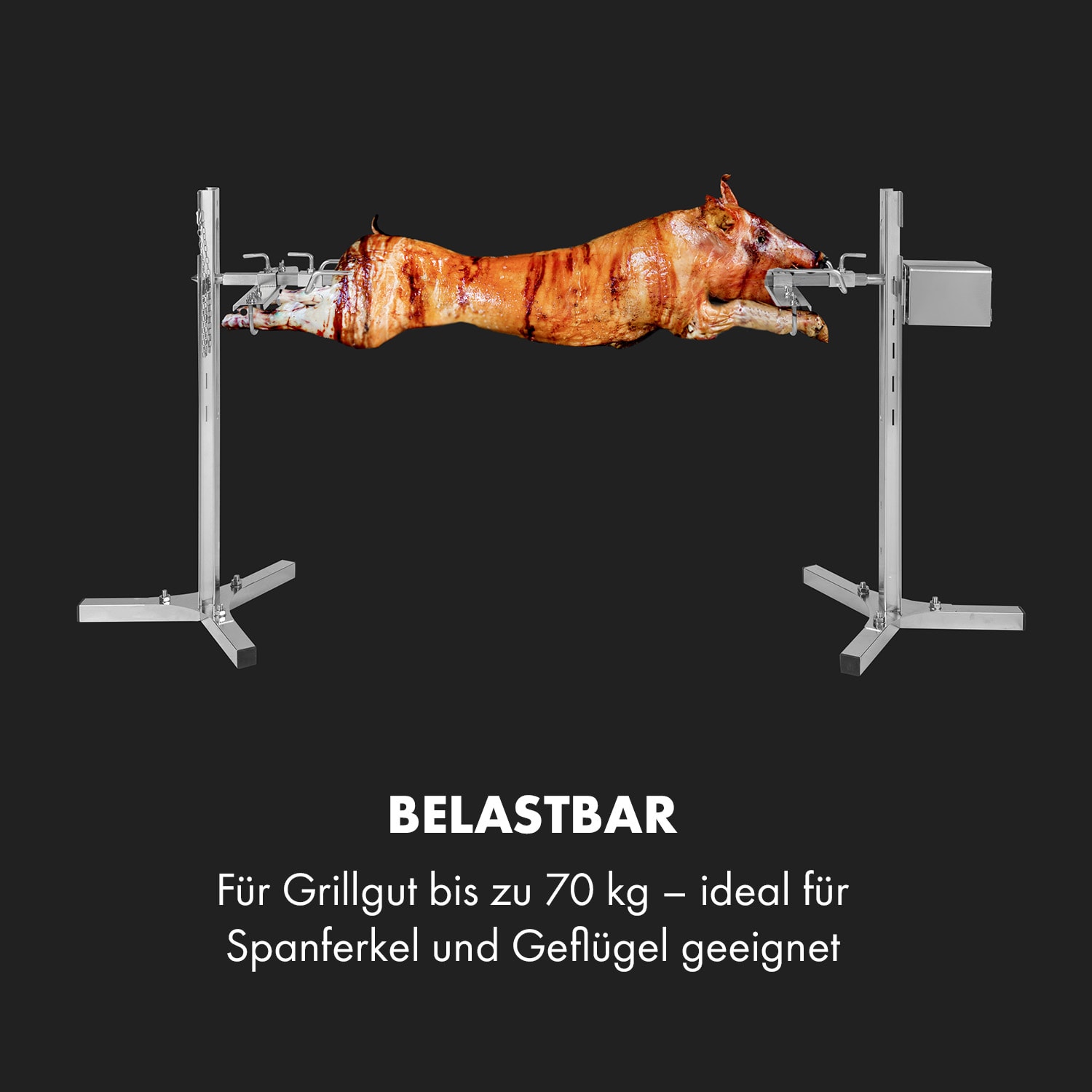 Sauenland Survivor, griglia da porchetta con spiedo, 12W, 70kg max., acciaio inox 