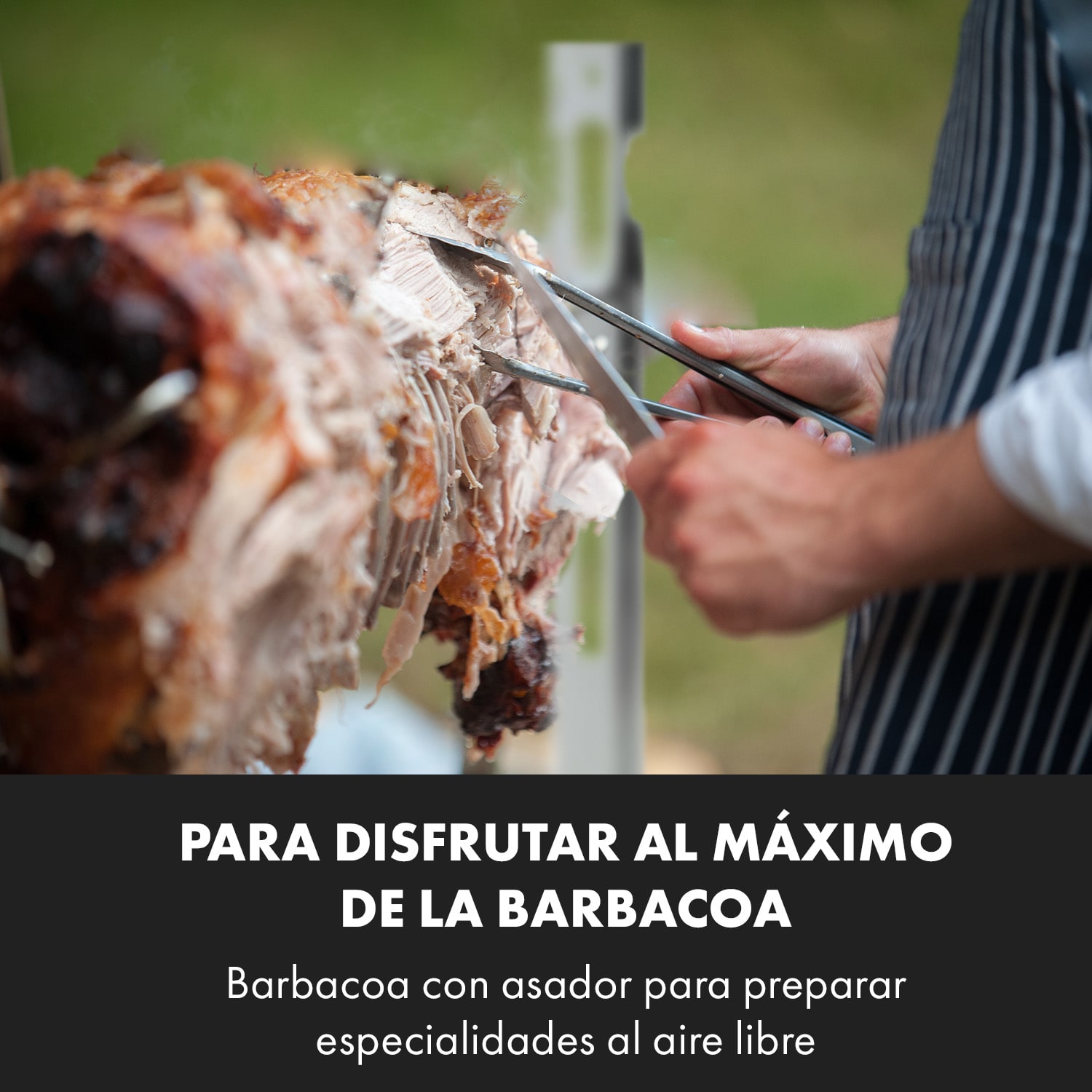 Sauenland Survivor Asador de cochinillo espetón 12W máx. 70 kg acero inoxidable 