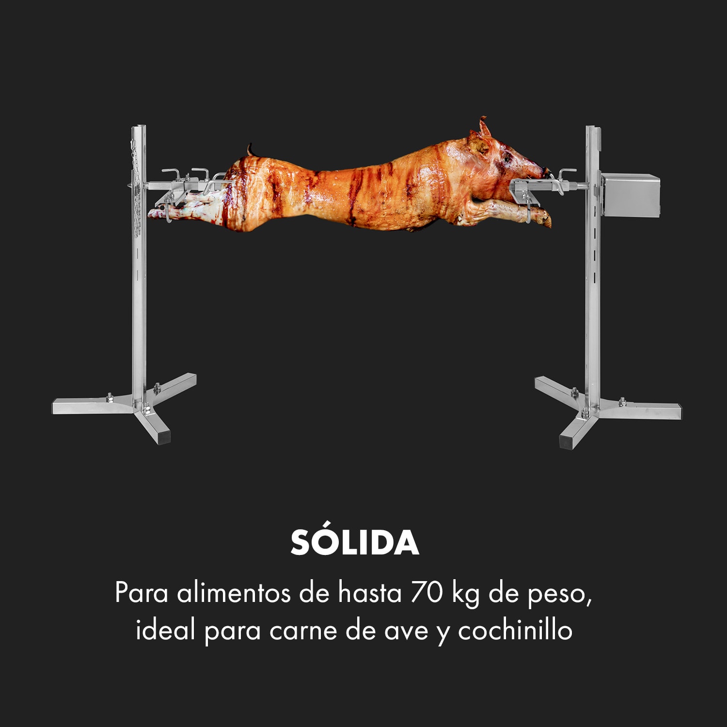 Sauenland Survivor Asador de cochinillo espetón 12W máx. 70 kg acero inoxidable 