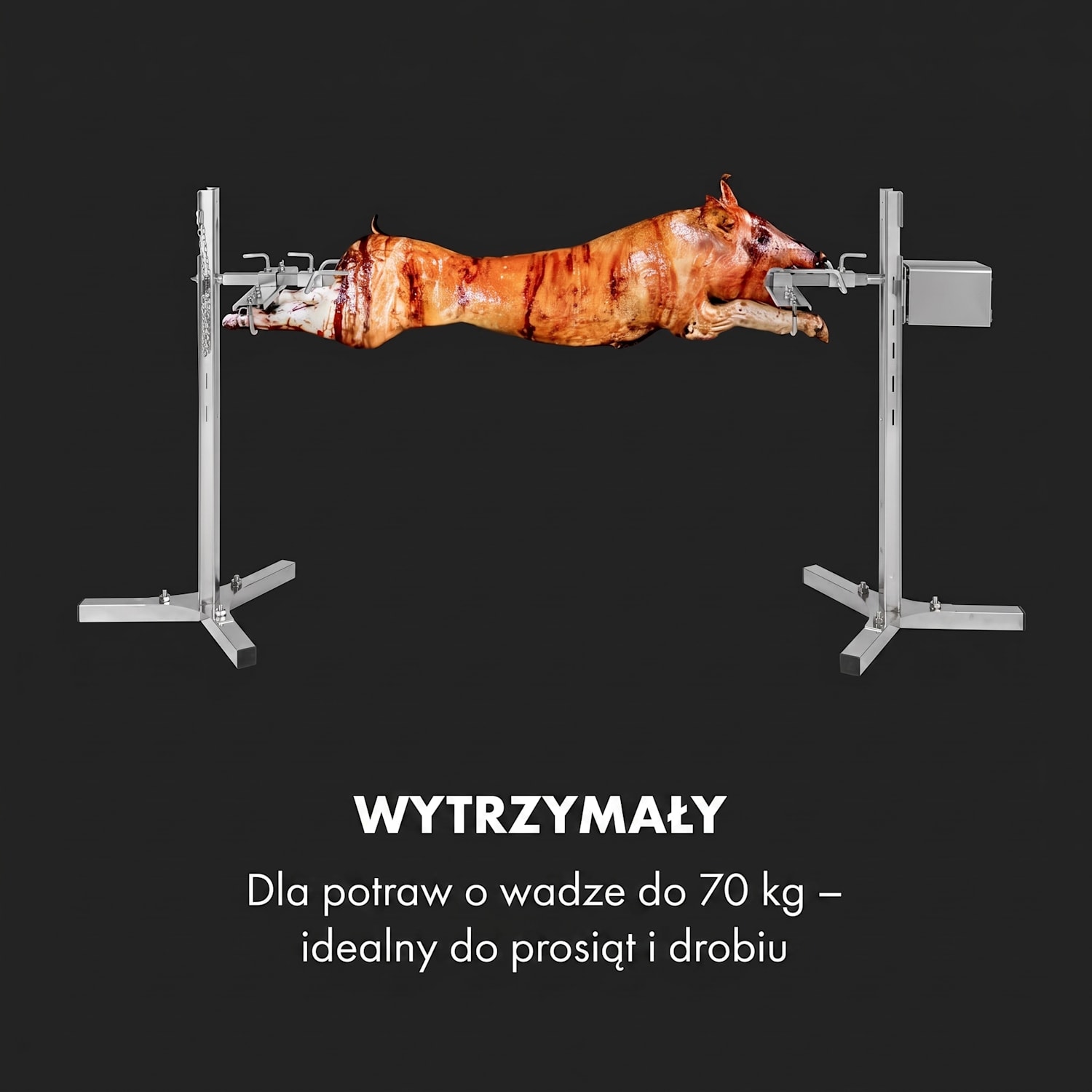 Sauenland Survivor, obrotowy rożen do pieczenia prosiaka, 12 W, 70 kg maks., stal nierdzewna 
