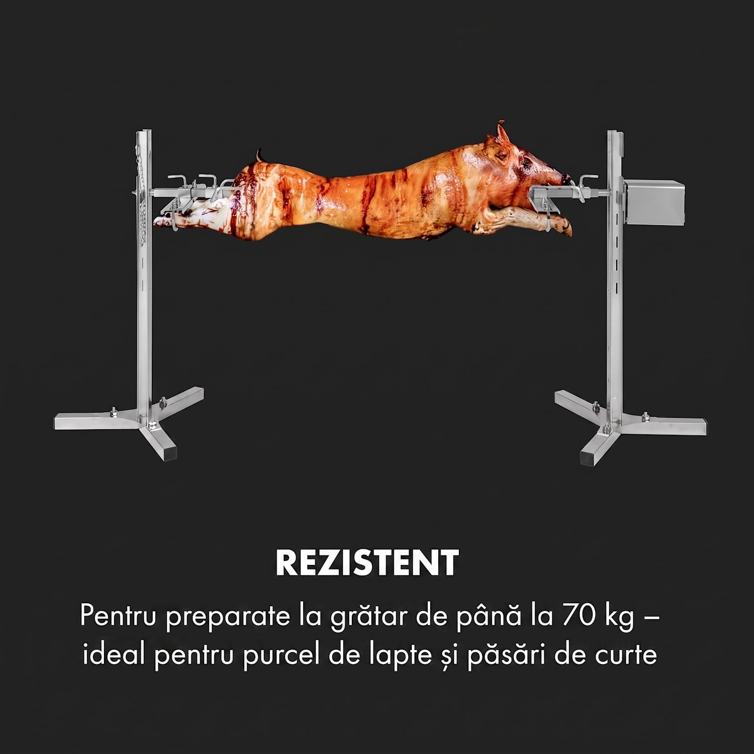 Sauenland Survivor, grătar pentru porc, frigărui rotativ, 12 W, 70 kg max., oțel inoxidabil 