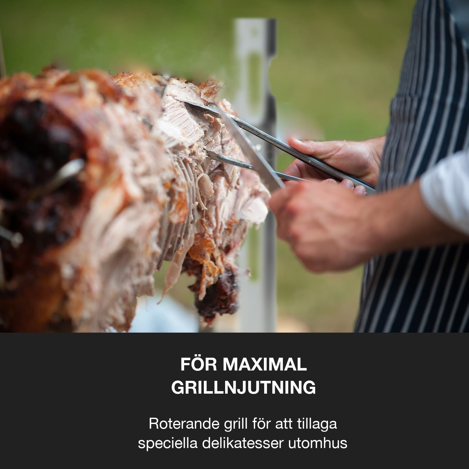 Sauenland Survivor spädgrisgrill roterande grillspett 12 W 70 kg max. rostfritt stål 