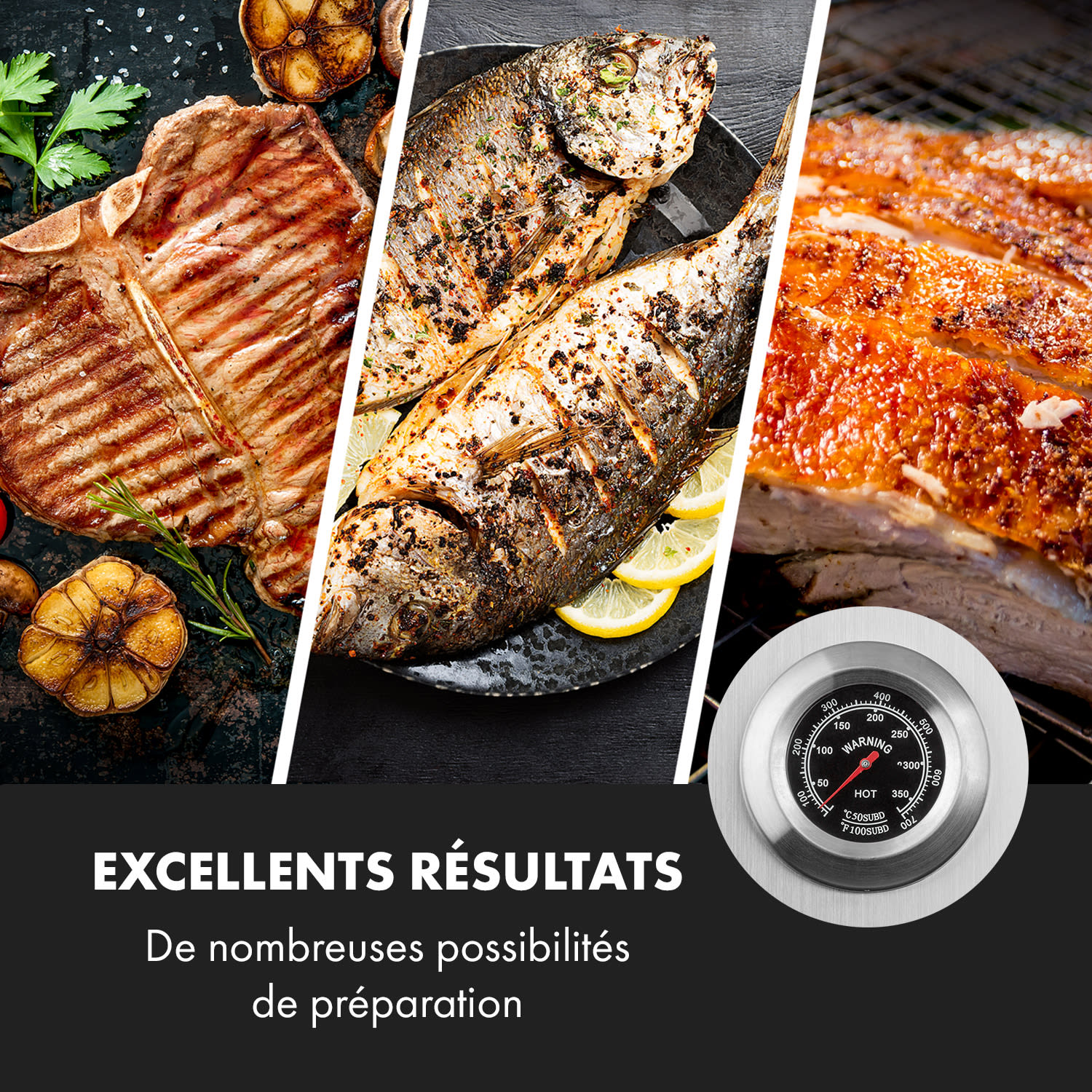 Sauenland Pro XL barbecue à cochon de lait rôtissoire 15 W 4 roulettes inox 