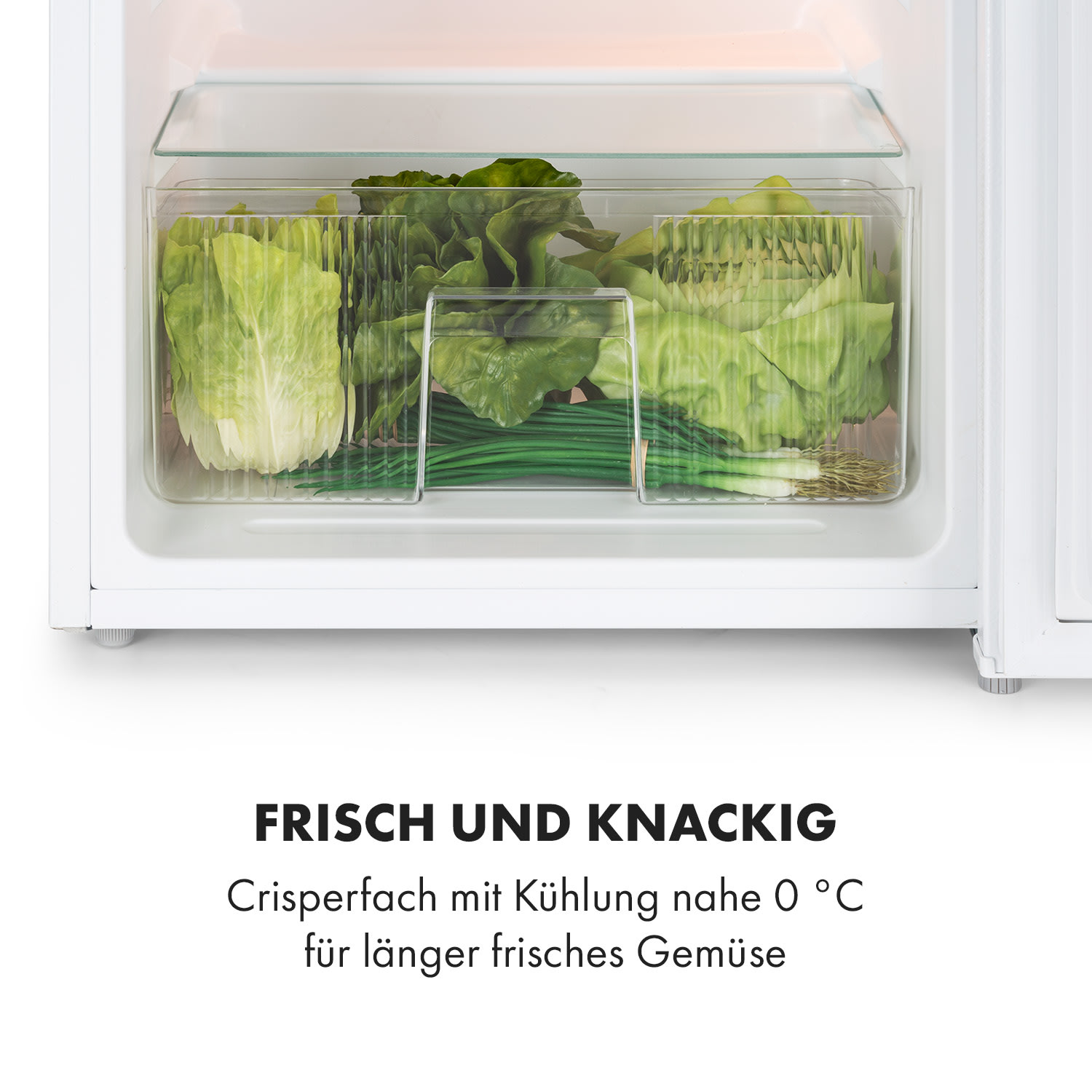 Big Daddy Cool Kühl-Gefrier-Kombination 87 Liter 40dB EEK F 