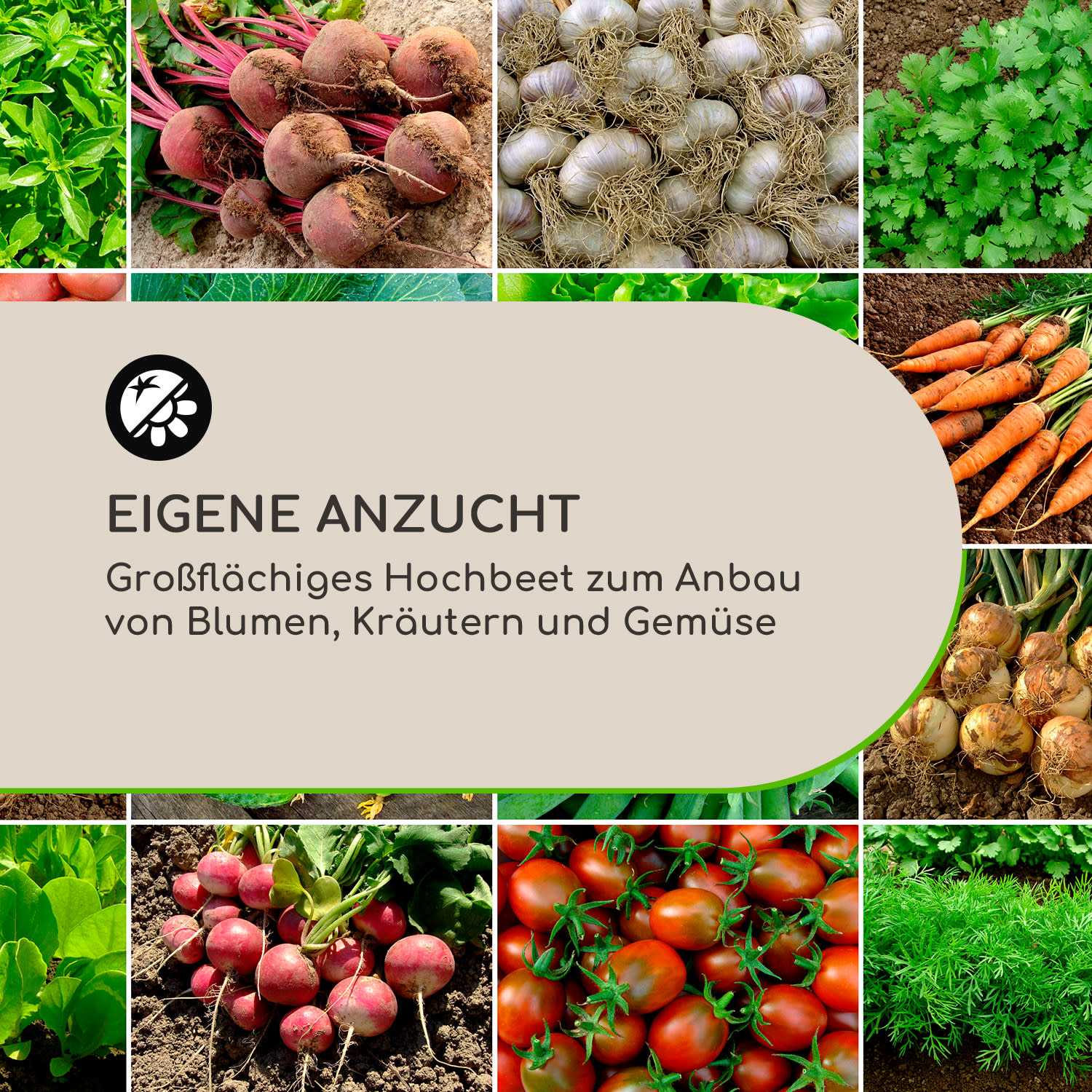 High Grow Hochbeet 160 x 80 x 80 cm Stahl-Wellblech einfacher Aufbau 160 x 80 x 80 cm | Anthrazit