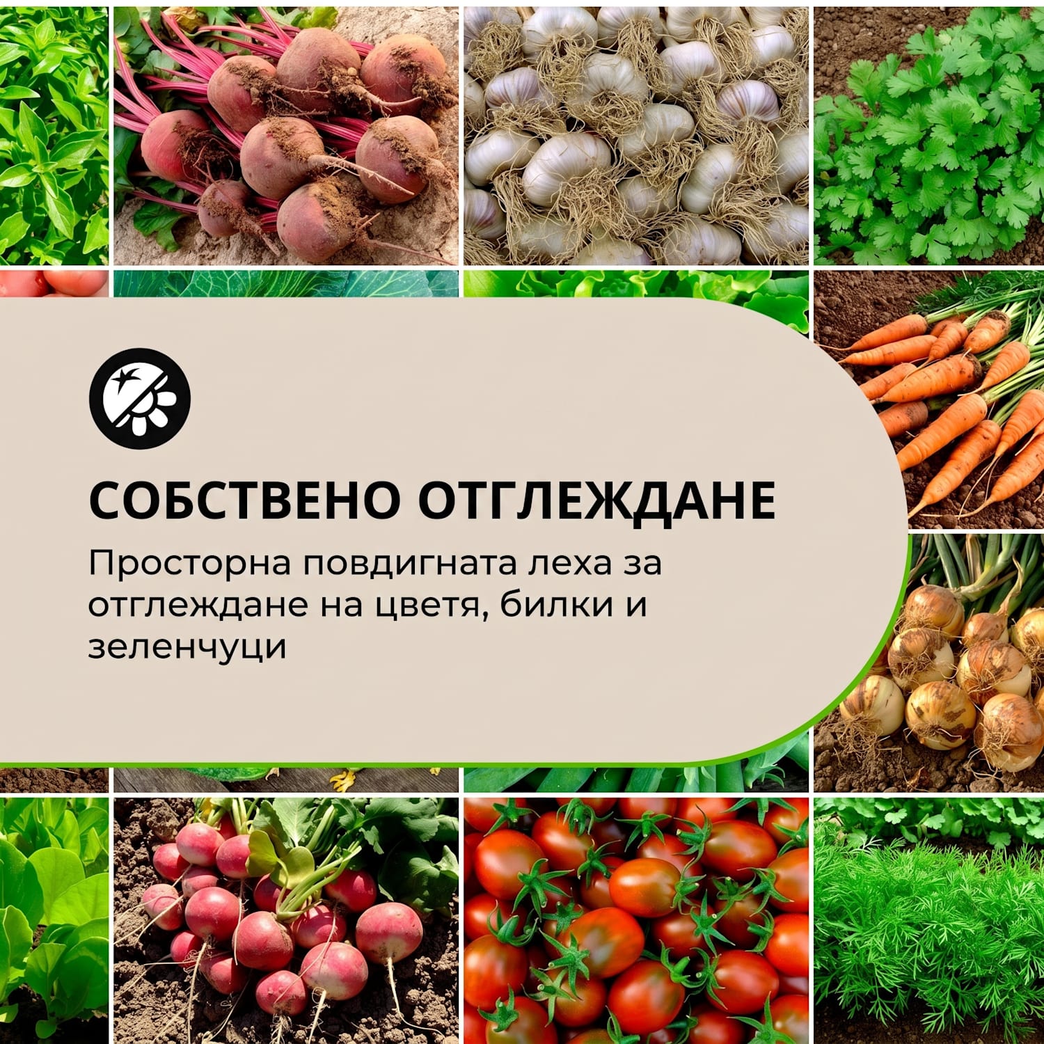 High Grow, повдигната леха, 200 x 80 x 100 см, гофрирана ламарина, лесен монтаж 200 x 100 x 80 cm | Антрацит