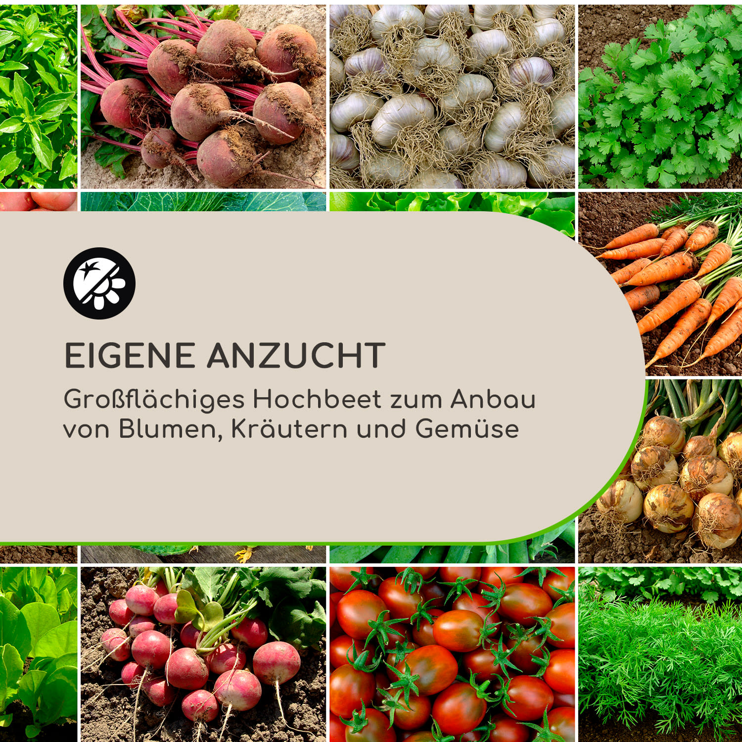 High Grow Hochbeet 200 x 80 x 100 cm Stahl-Wellblech einfacher Aufbau  200 x 100 x 80 cm | Anthrazit