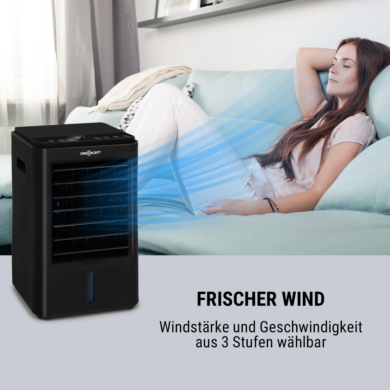 Arctic Cube 4-in-1 Luftkühler 40 Watt 230 m3/h 2 Kühlakkus Schwarz