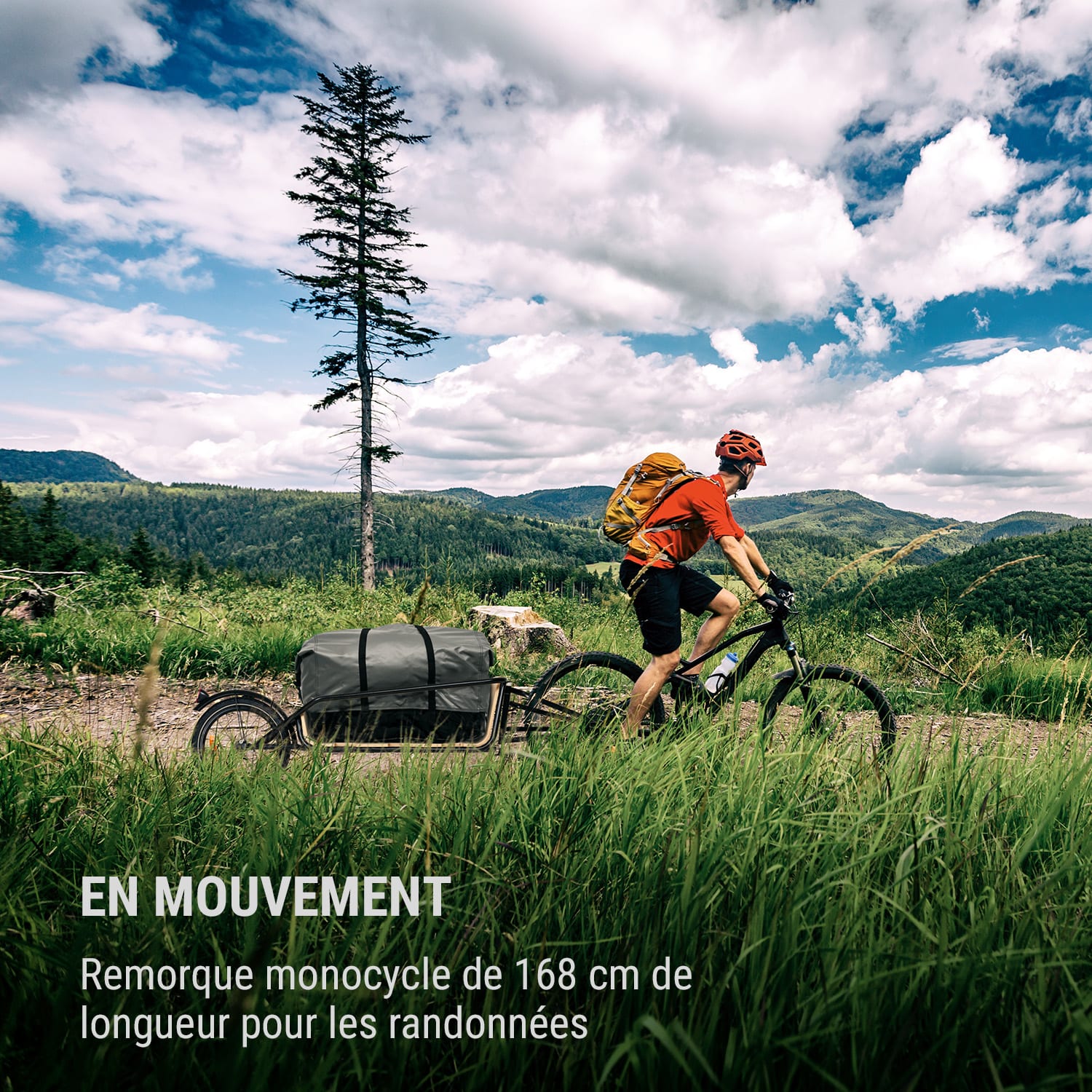 Companion Chaser fietskar fun trailer 30 kg 16" berken multiplex 