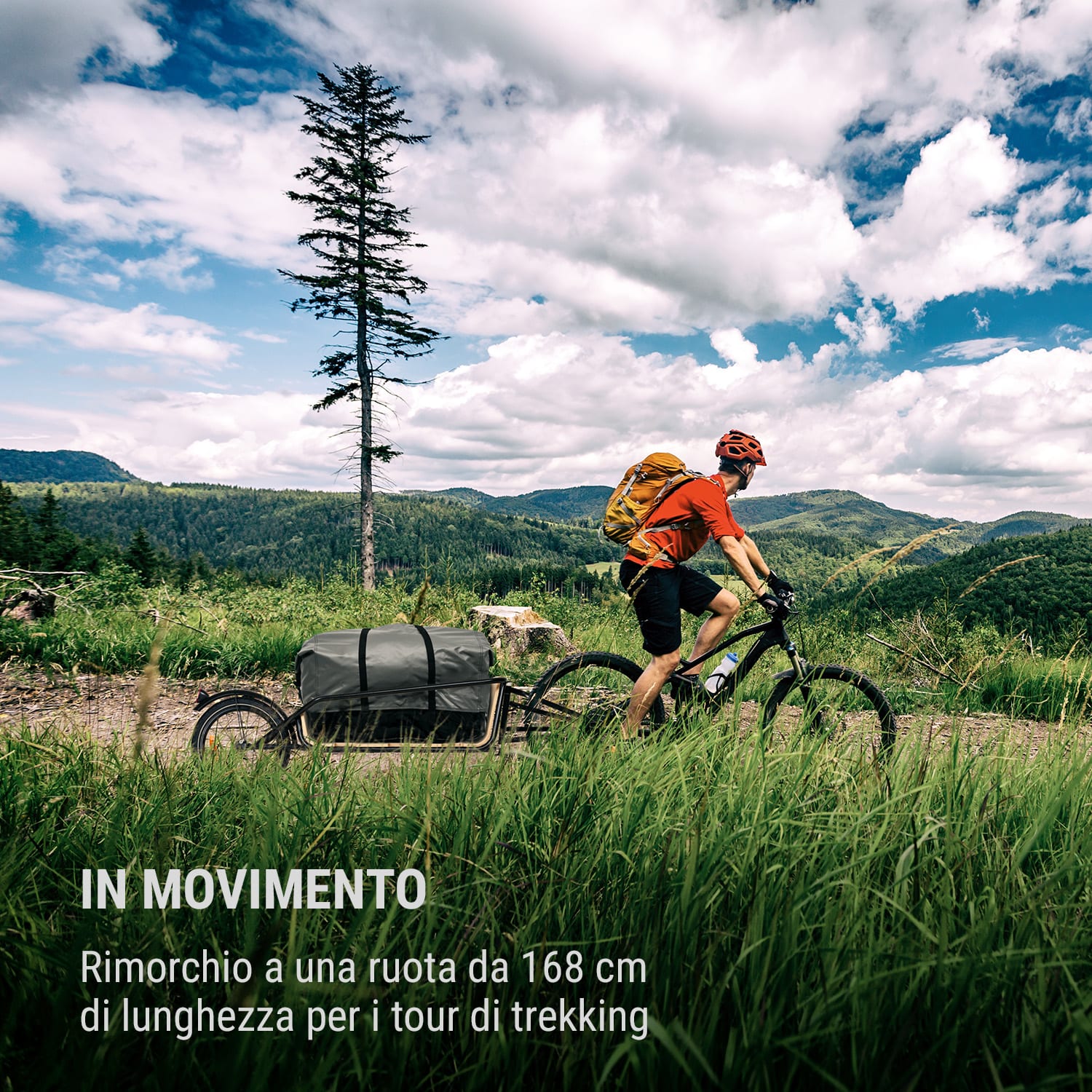 Companion Chaser - Rimorchio per biciclette, 30 kg, 16", betulla multiplex 