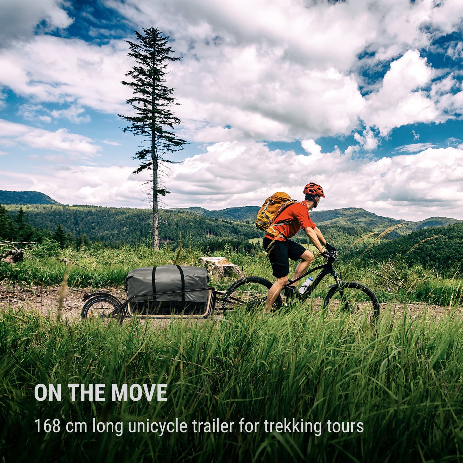 Companion Chaser, przyczepka rowerowa, maks. 30 kg, 16", Multiplex brzoza z górną ramą