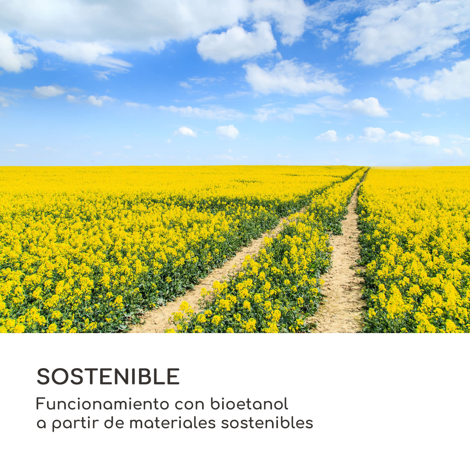 Farol de etanol Fiamme Triangolo 2 juegos de quemadores de acero inoxidable 0,3 litros 4h de tiempo de combustión Negro