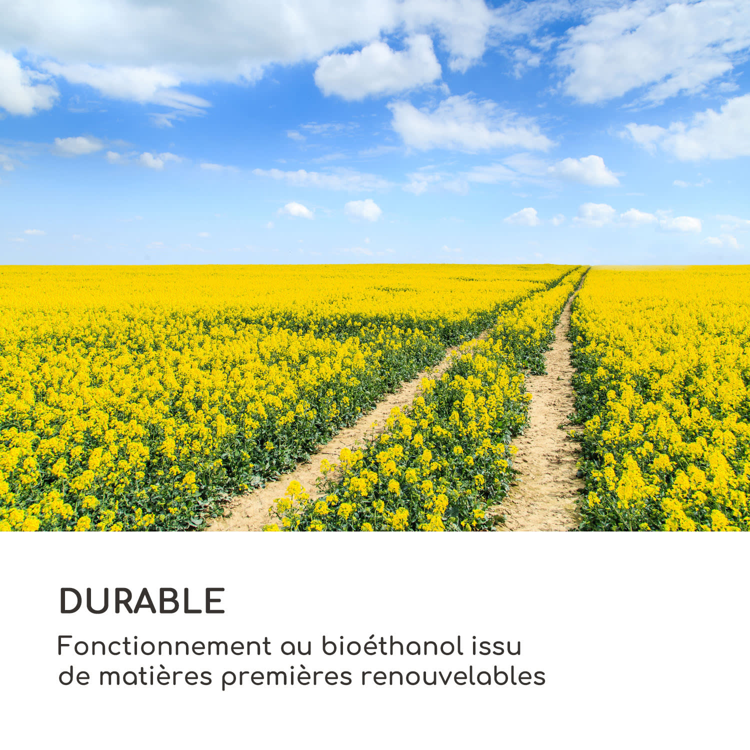 Lanterne à éthanol Fiamme Triangolo, 2 formats, brûleur en acier inoxydable, 0,3 litre, durée de combustion 4h Noir