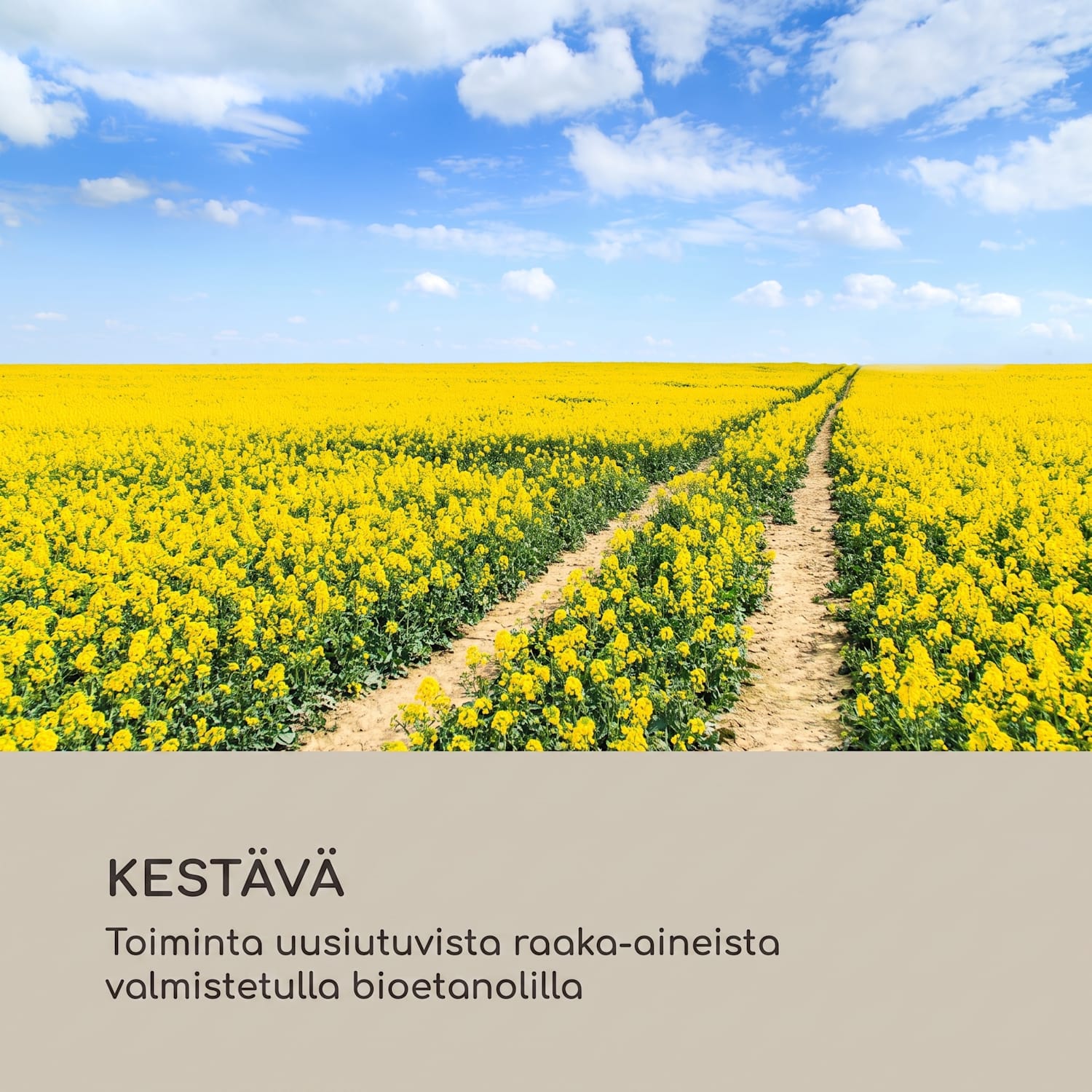 Fiamme Pila biotakka poltin ruostumattomasta teräksestä 0,5 litraa 4-5 h paloaika Musta