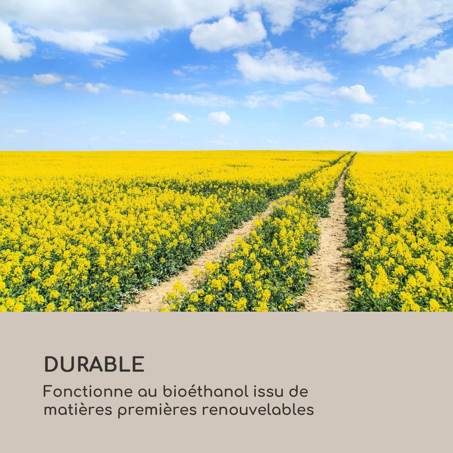 Fiamme Pila ethanol haard rvs brander 0,5 liter 4-5 uur brandduur Zwart