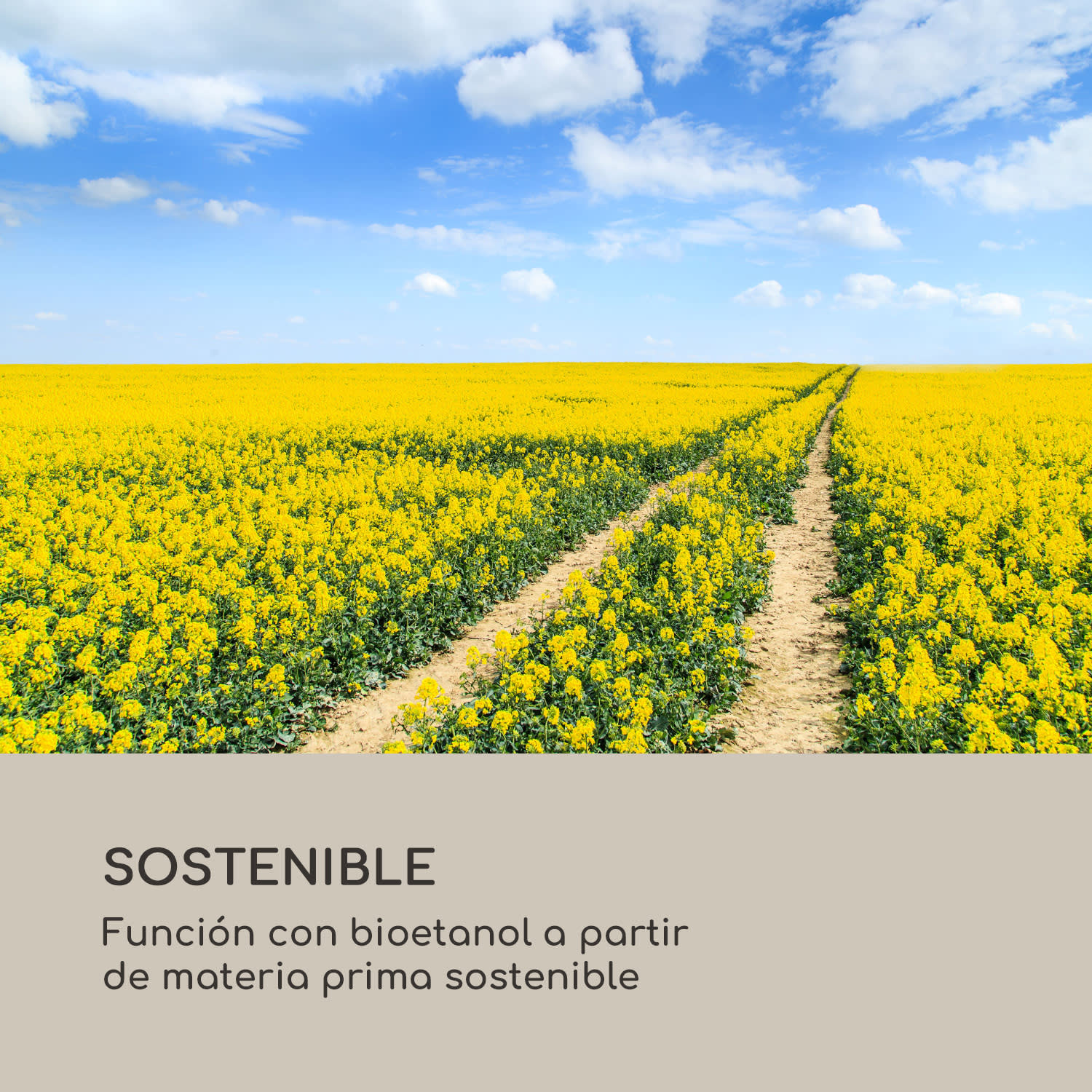 Chimenea de etanol Fiamme Tamburo quemador de acero inoxidable 0,5 litros 4-5 horas de combustión Negro