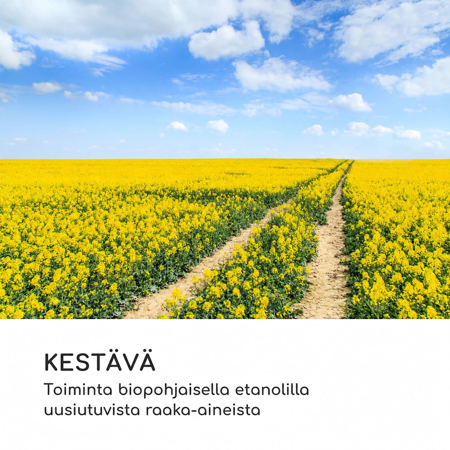 Fiamme Cantal biotakka poltin ruostumattomasta teräksestä 1,2 litraa 4-6 h paloaika Musta