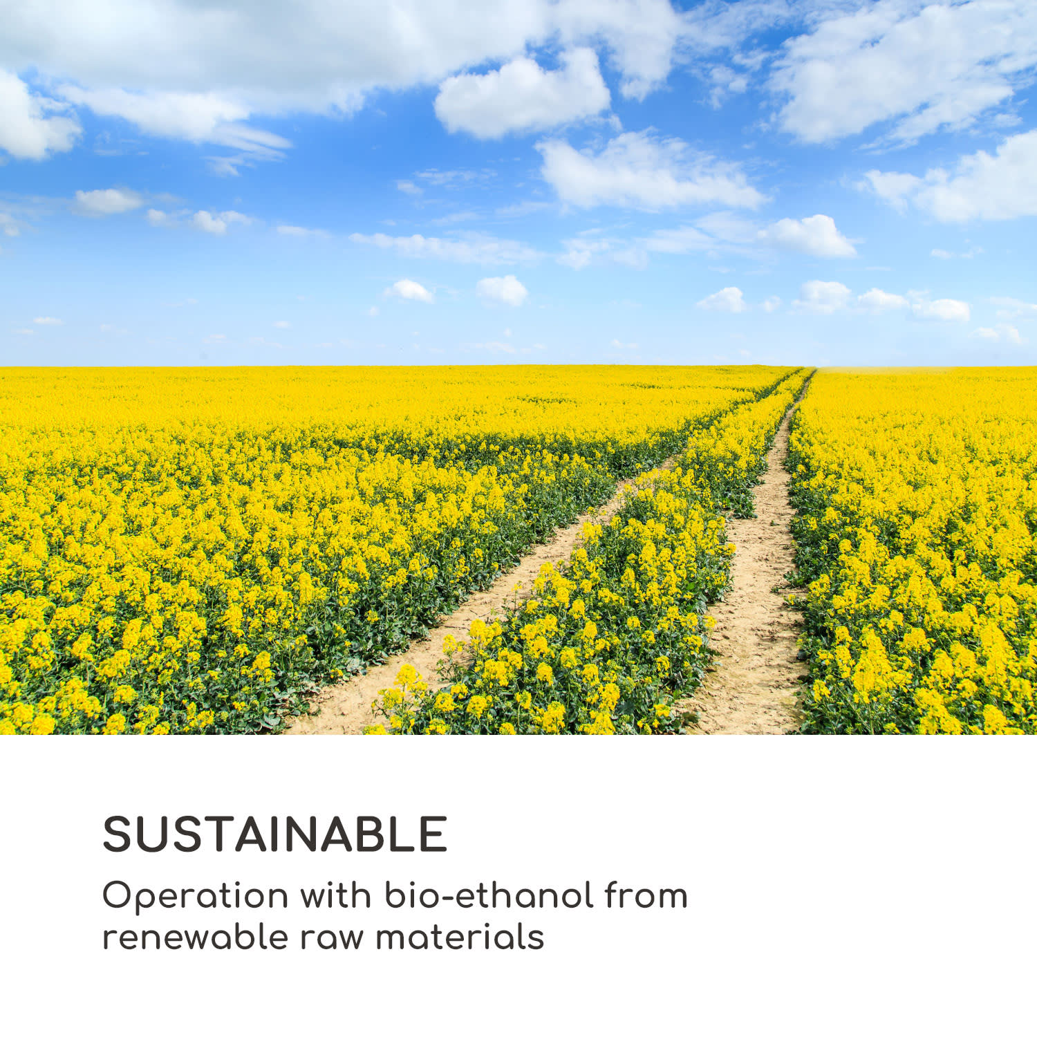 Fiamme Cantal bio-ethanol haard rvs brander 1,2 liter 4-6 uur brandduur 