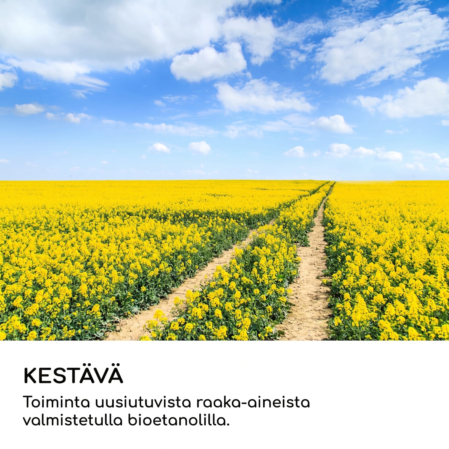 Fiamme Camino biotakka poltin ruostumattomasta teräksestä 1,15 litraa 4 h paloaika  