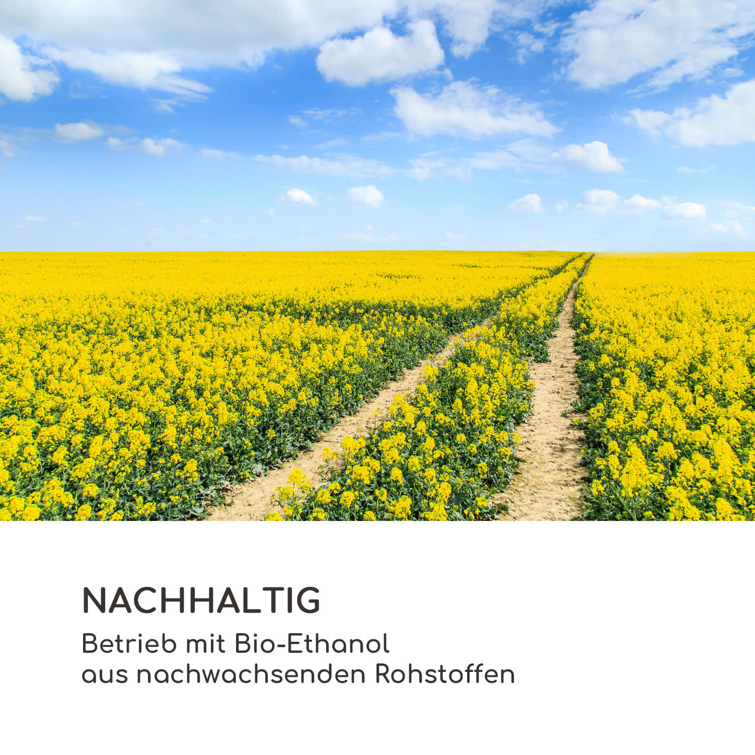 Fiamme Scoppi Ethanol-Kamin Edelstahl-Brenner 3 Liter 5-6 h Brenndauer Schwarz