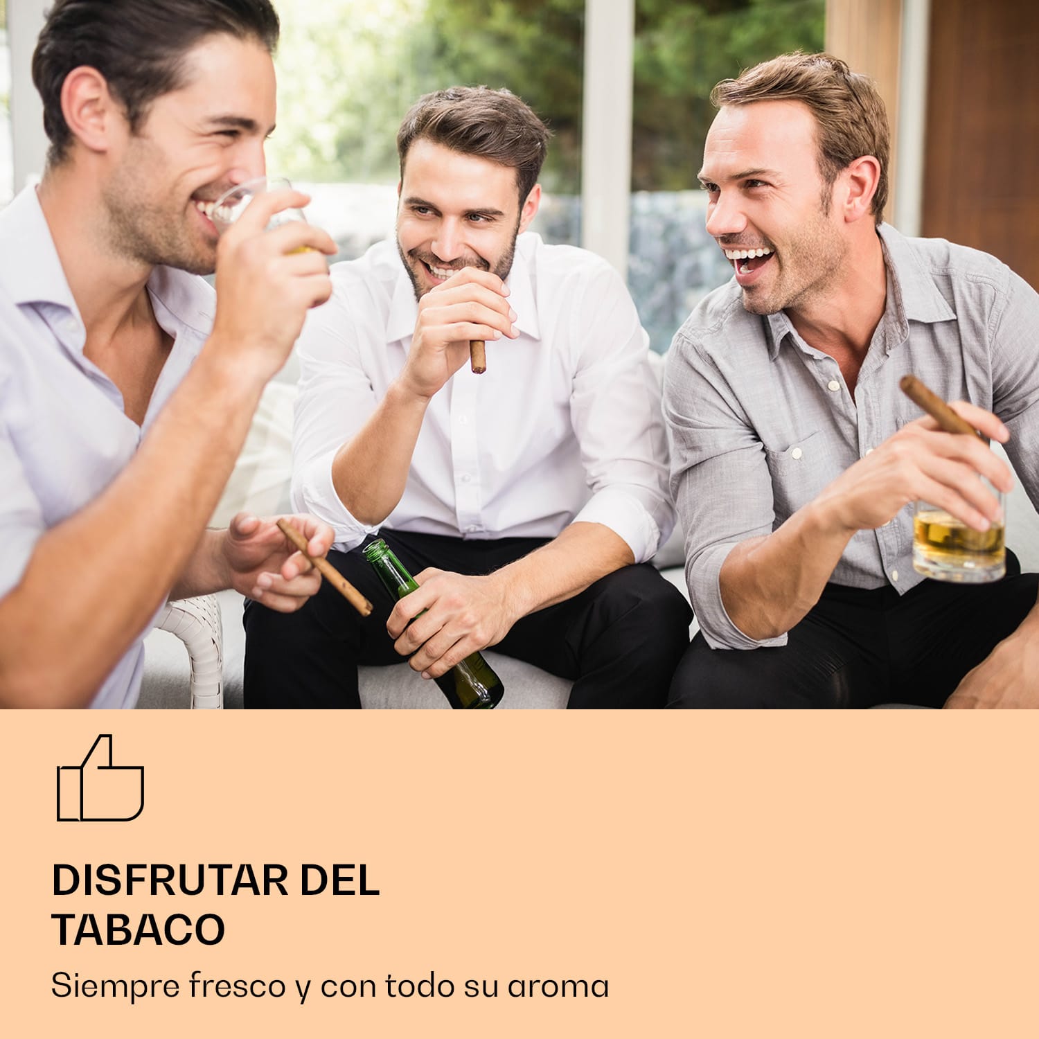 El Presidente 23 Humidor 45 W Toque de Madera de Haya 23L LED 