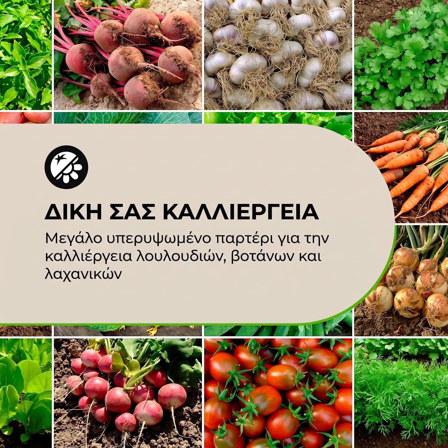 Rust Grow, υπερυψωμένο παρτέρι, παρτέρι κήπου, γαλβανισμένο χαλύβδινο φύλλο, φινίρισμα σκουριάς 120 x 60 x 60 cm | Rust