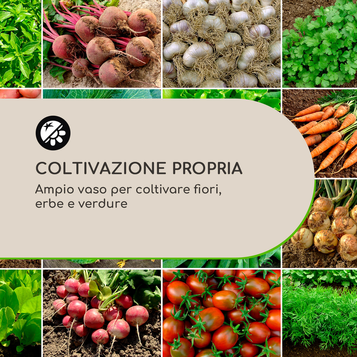 Rust Grow, aiuola rialzata, lamiera d'acciaio zincata, effetto ruggine 100 x 100 x 60 cm
