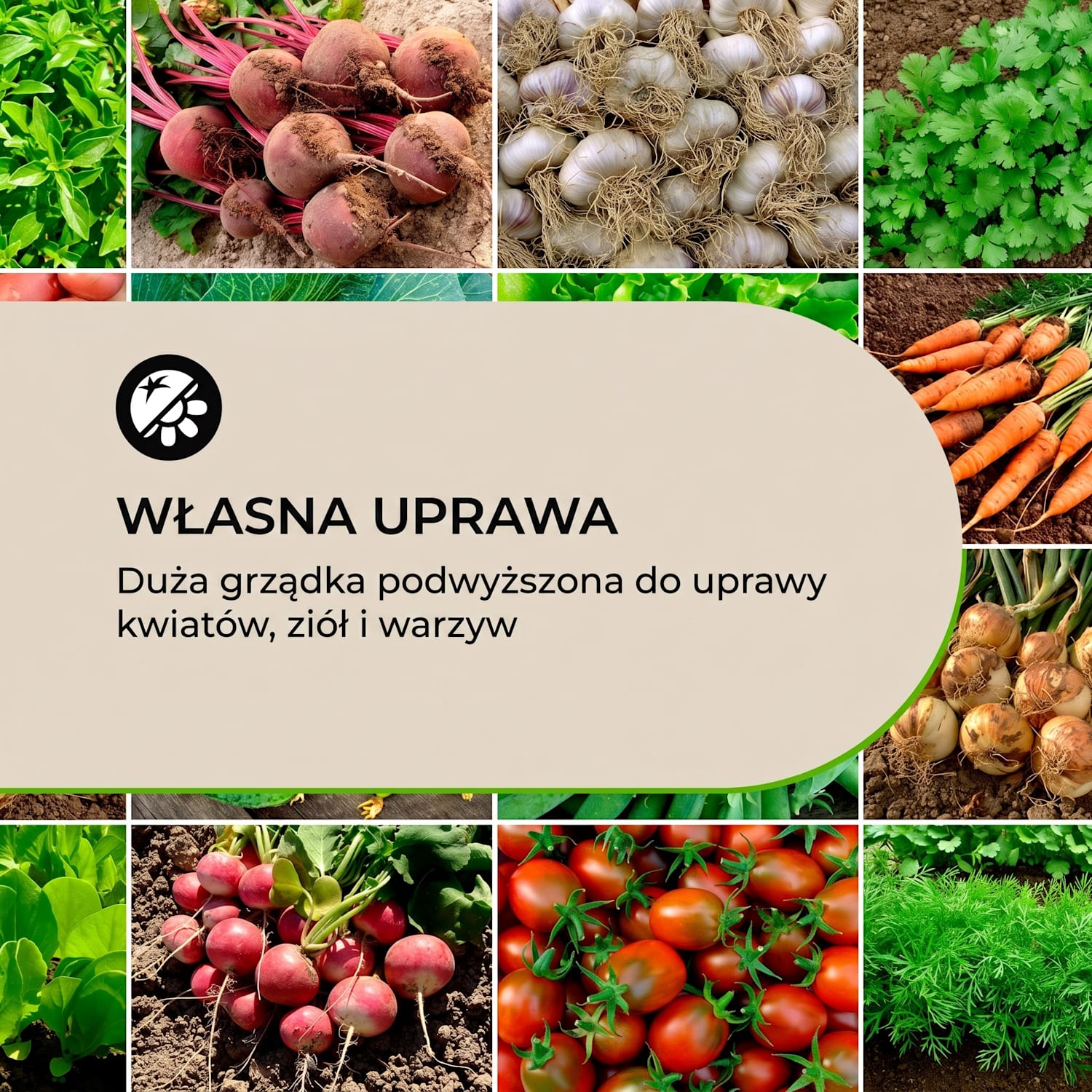 Rust Grow, podwyższona grządka, ocynkowana blacha stalowa, efekt rdzy 100 x 100 x 57 cm | Rdza