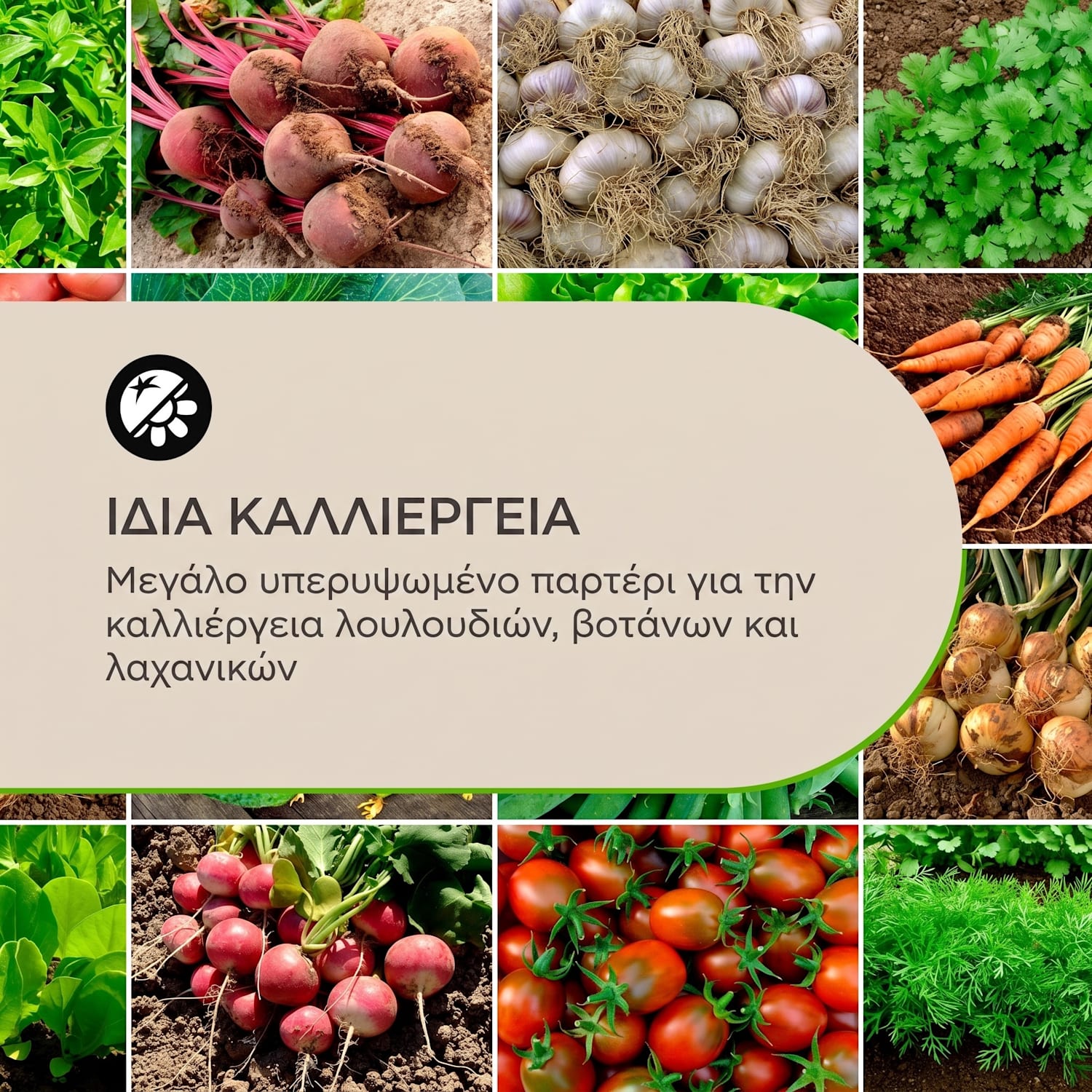 Rust Grow, υπερυψωμένο παρτέρι, παρτέρι κήπου, γαλβανισμένο χαλύβδινο φύλλο, φινίρισμα σκουριάς 200 x 100 x 60 cm | Rust