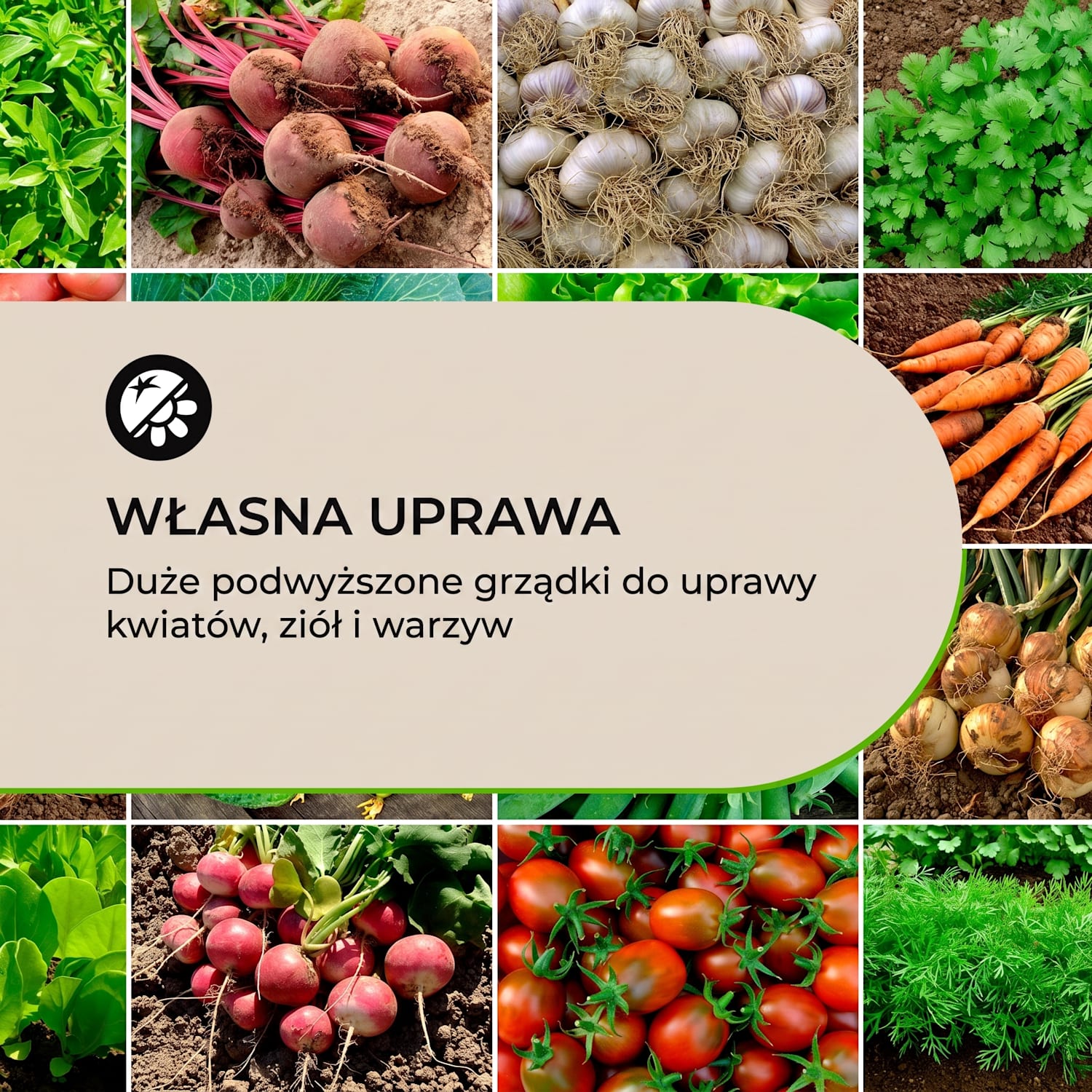 Rust Grow, podwyższona grządka, ocynkowana blacha stalowa, efekt rdzy 200 x 100 x 60 cm | Rdza