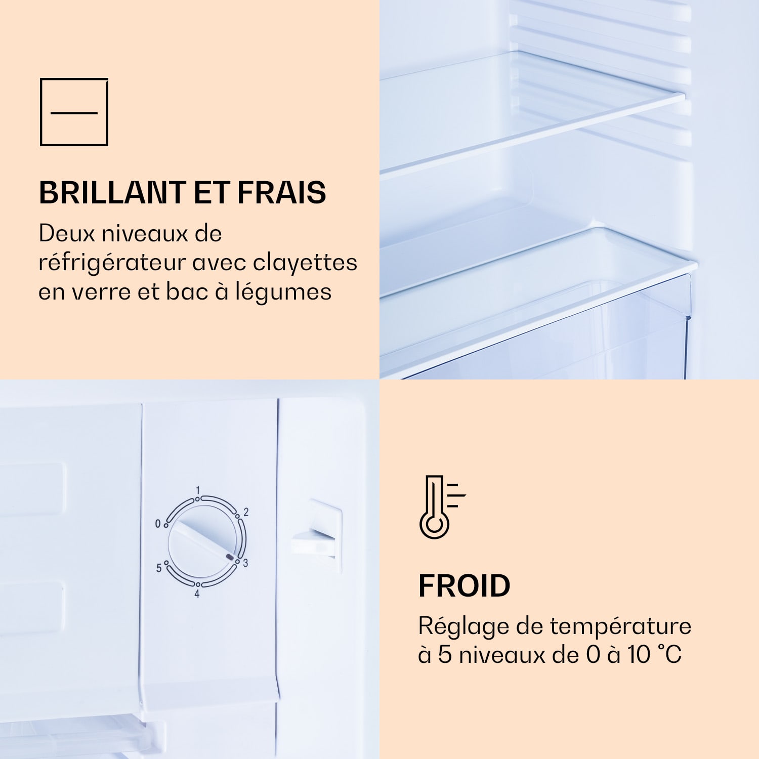 Combiné réfrigérateur-congélateur CoolArt 79L CEE F compartiment congélateur 9l porte design Forest