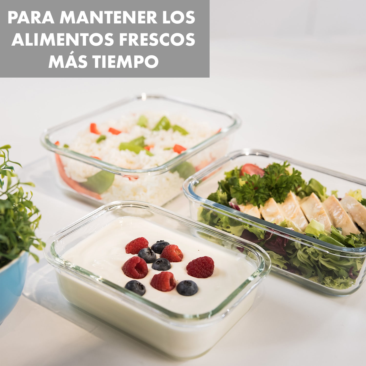 Jardine Juego de 3 fiambreras 640 1040 1520 ml Vidrio de borosilicato Tapa 