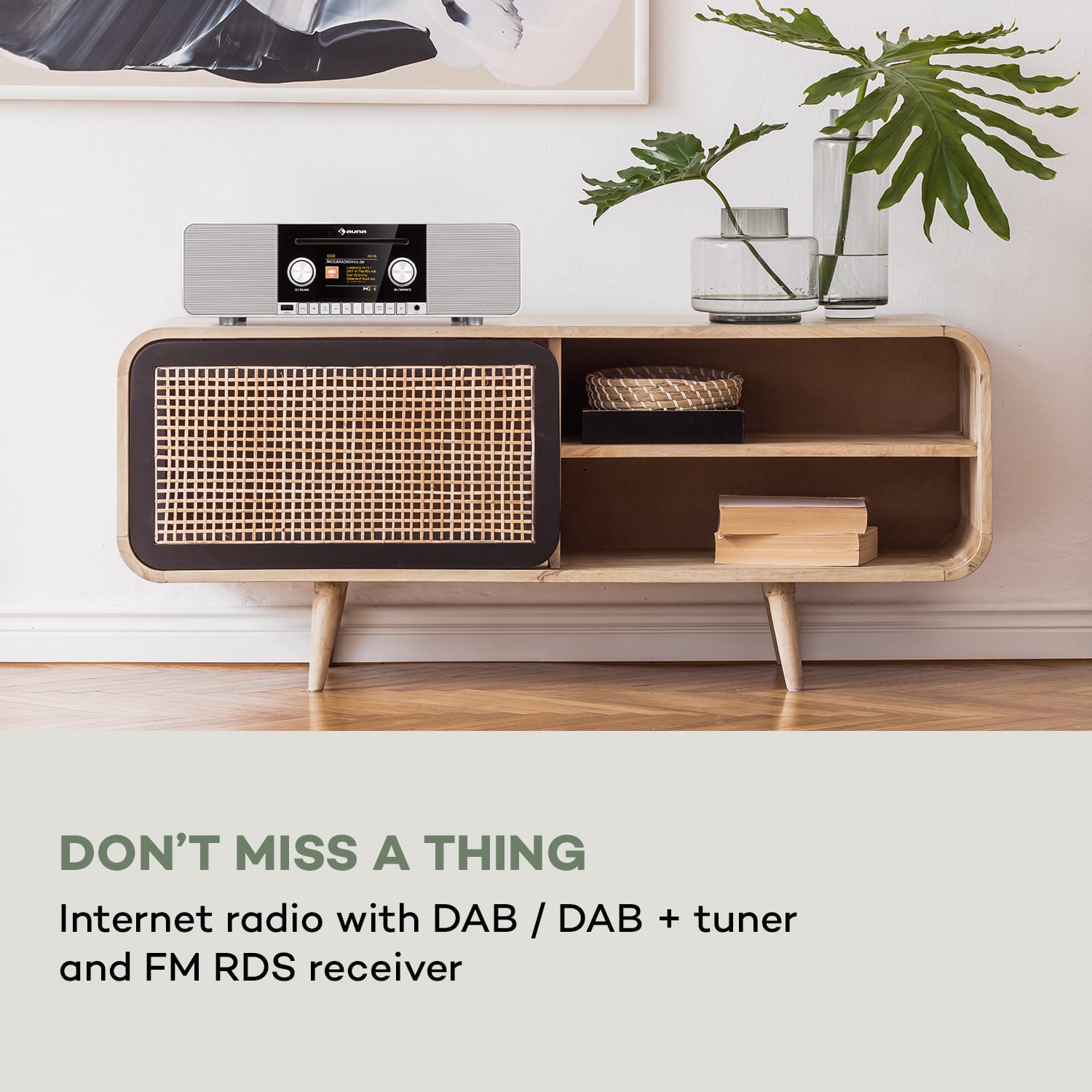 Connect CD MKII, Internetové rádio, Media Player, BT, MP3, DAB+, Spotify Connect, rádio Biele drevo