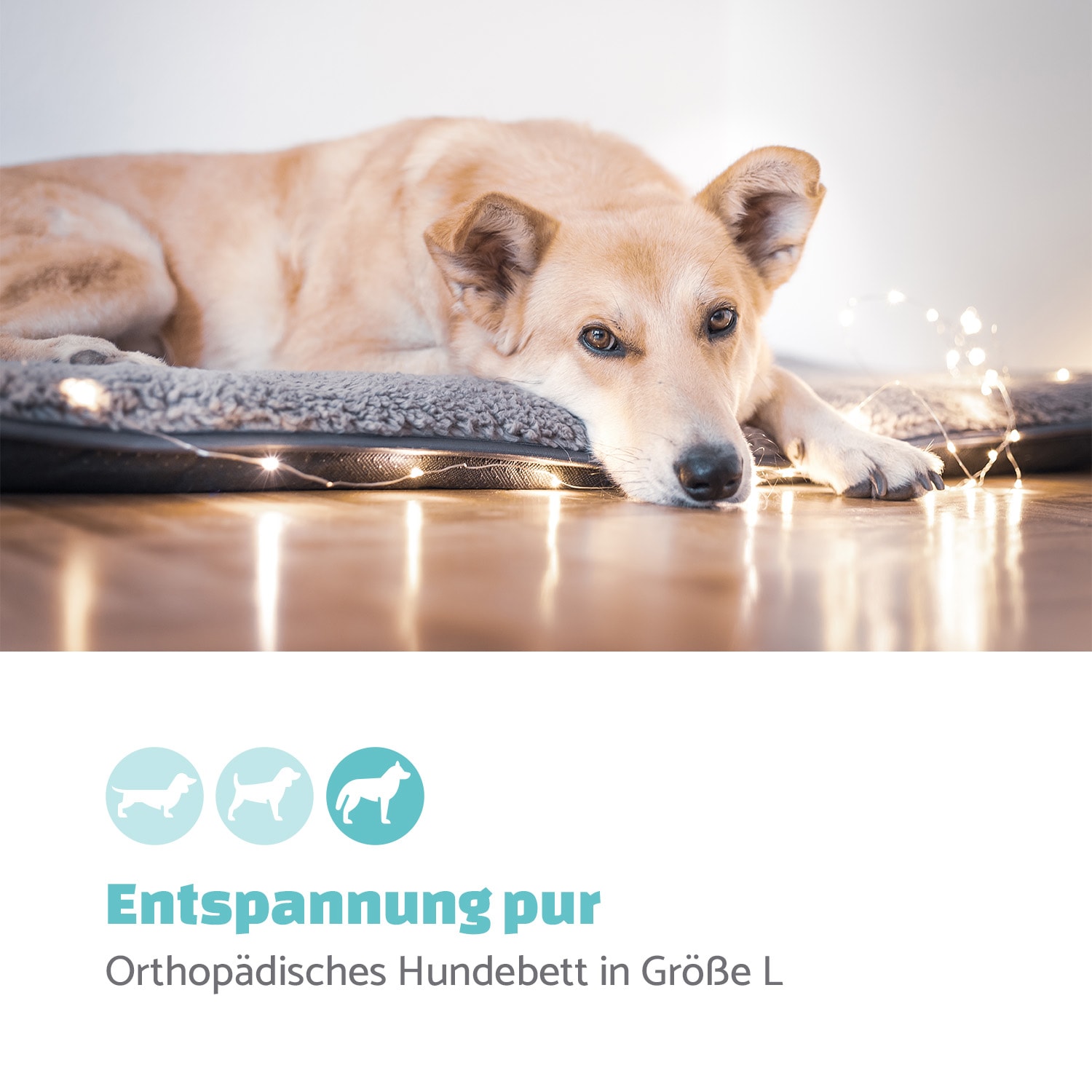 Finn Hundebett waschbar rutschfest atmungsaktiv PE / Vlies Größe L L | Mittelgrau