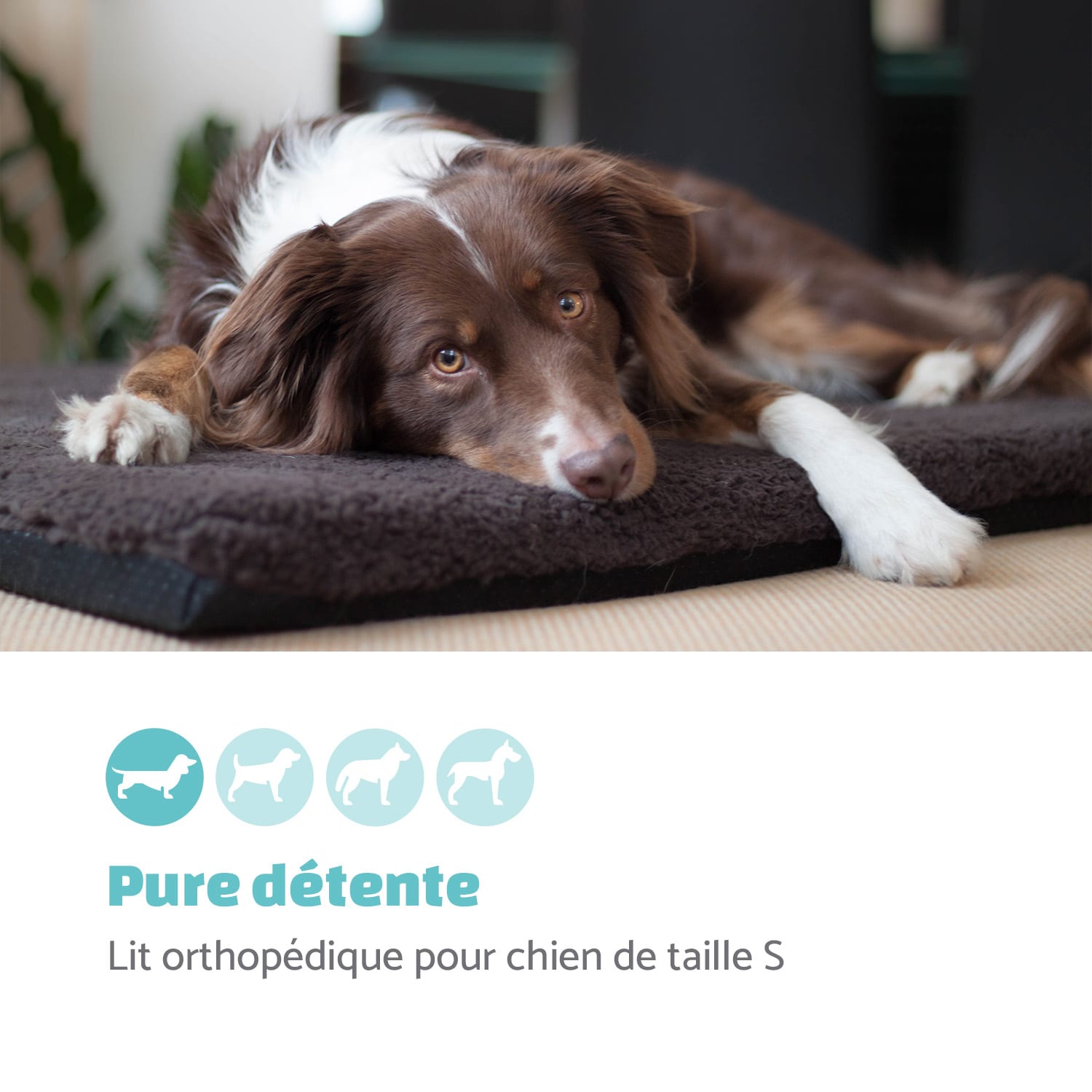 Luna lit pour chien matelas lavable orthopédique antidérapant respirant mousse à mémoire de forme taille S (60 x 5 x 40 cm) S | Crème Vintage