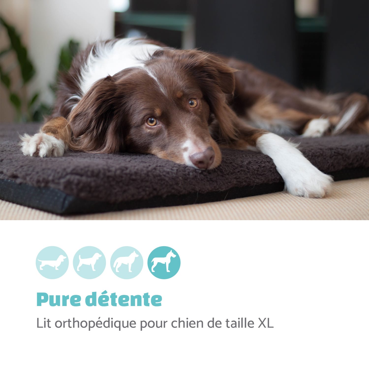 Luna lit pour chien matelas lavable orthopédique antidérapant respirant mousse à mémoire de forme taille XL (120 x 5 x 85 cm) XL | Gris Moyen