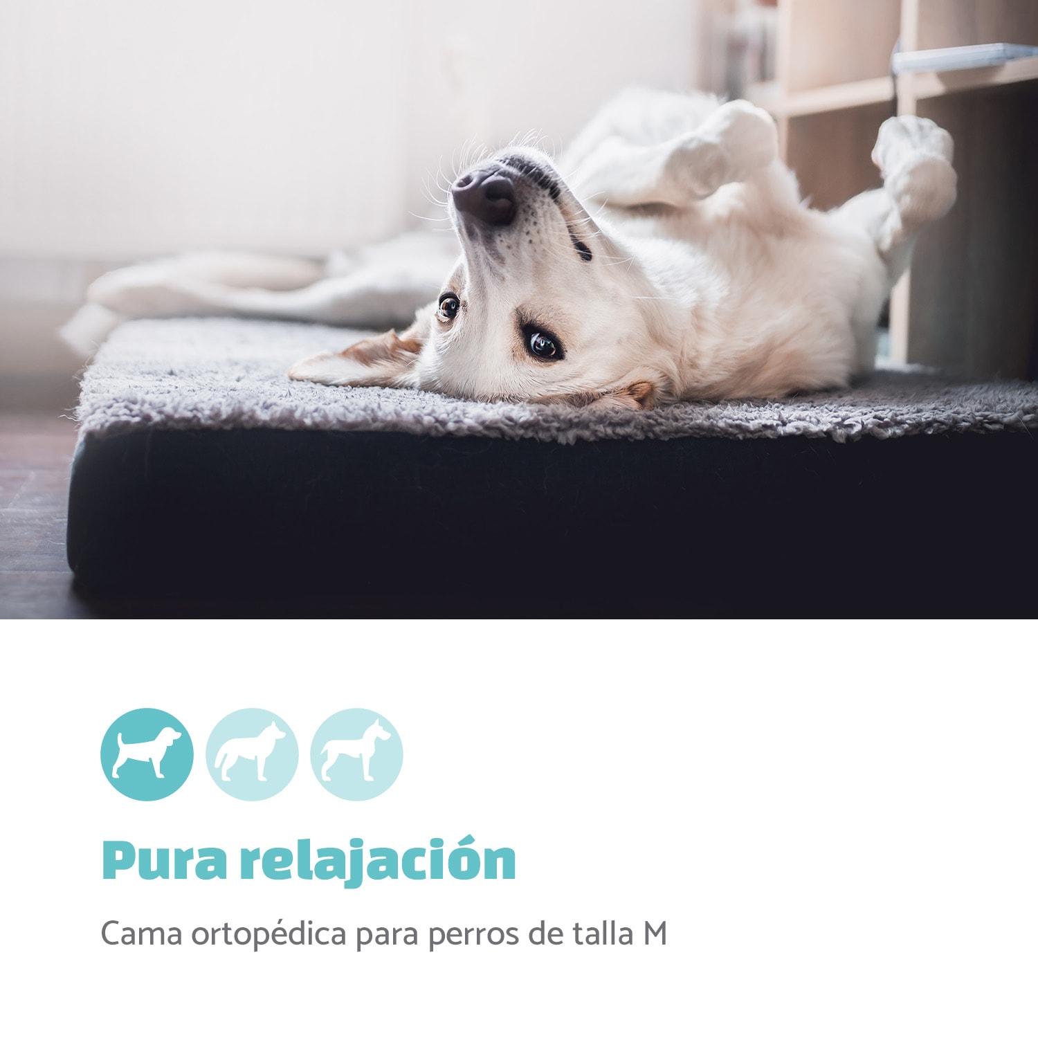 Paco Cama para perros Colchón para perros | Lavable | Ortopédico | Antideslizante | Transpirable | Espuma viscoelástica plegable | Tamaño M (80 x 8 x 55 cm)