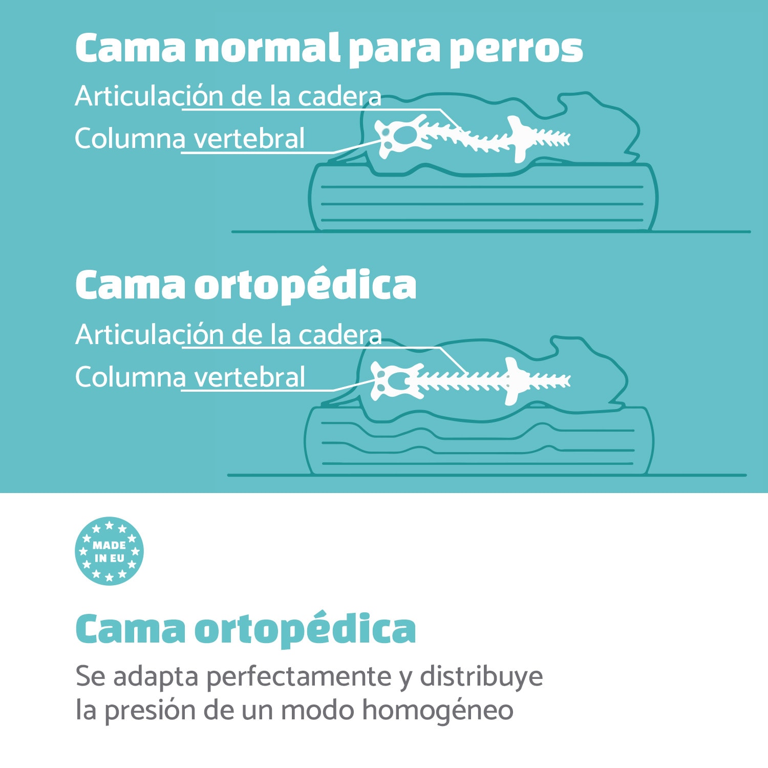 Paco Cama para perros Colchón para perros | Lavable | Ortopédico | Antideslizante | Transpirable | Espuma viscoelástica plegable | Tamaño M (80 x 8 x 55 cm) 