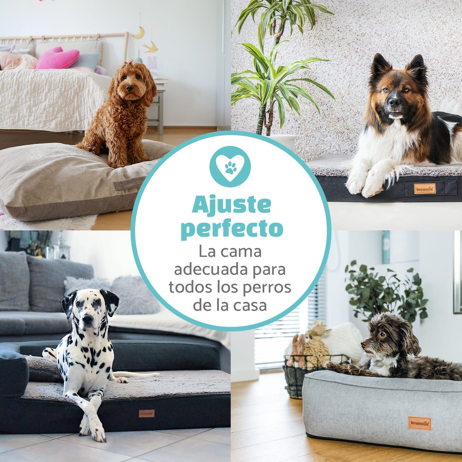 Paco Cama para perros Colchón para perros | Lavable | Ortopédico | Antideslizante | Transpirable | Espuma viscoelástica plegable | Tamaño M (80 x 8 x 55 cm) 