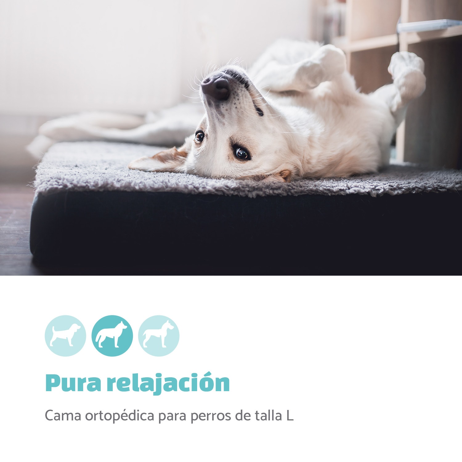 Paco Cama para perros Colchón para perros | Lavable | Ortopédico | Antideslizante | Transpirable | Espuma viscoelástica plegable | Tamaño L (100 x 10 x 70 cm) L | Antracita